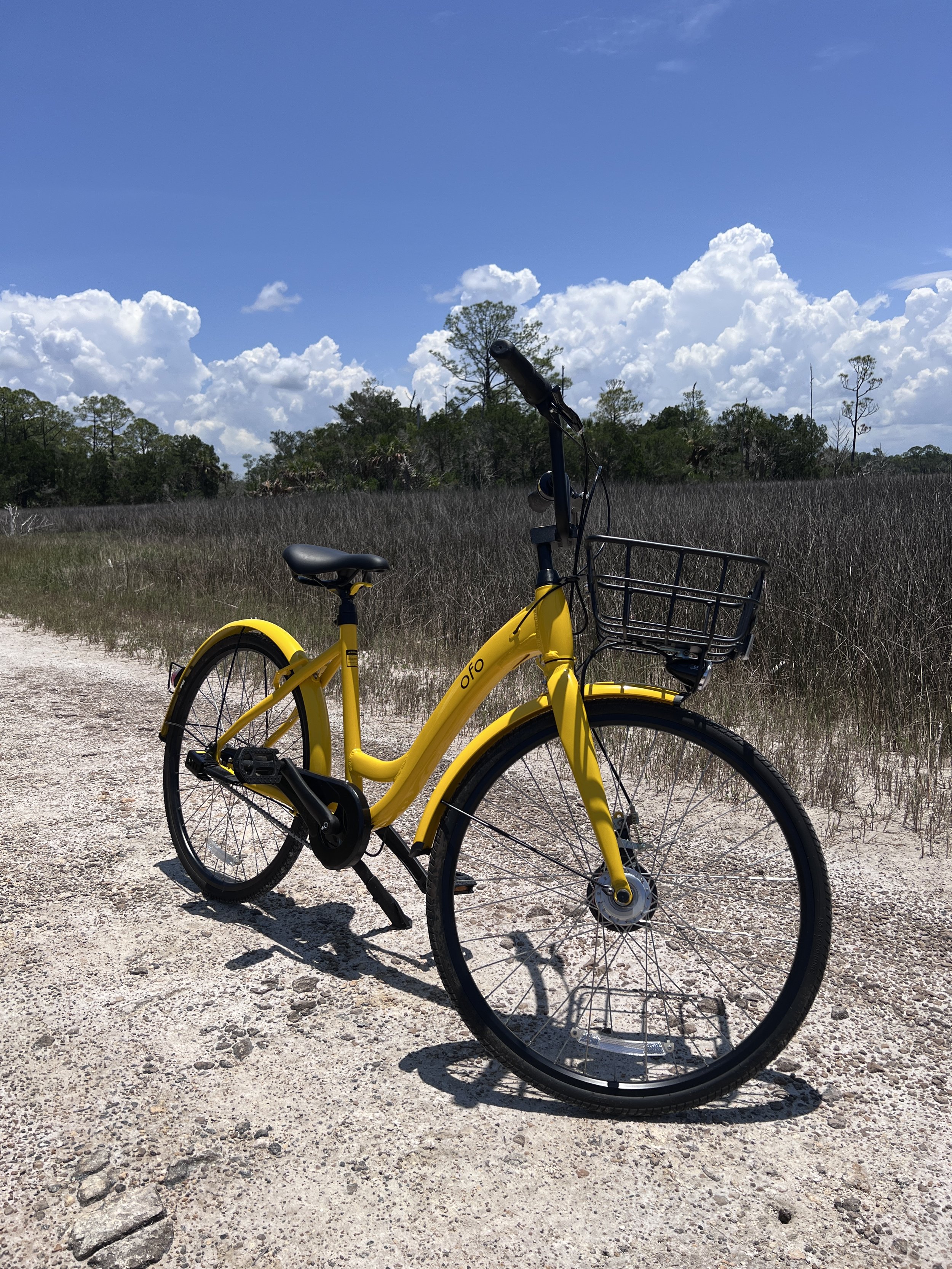 yellow bicycle with black wire basket