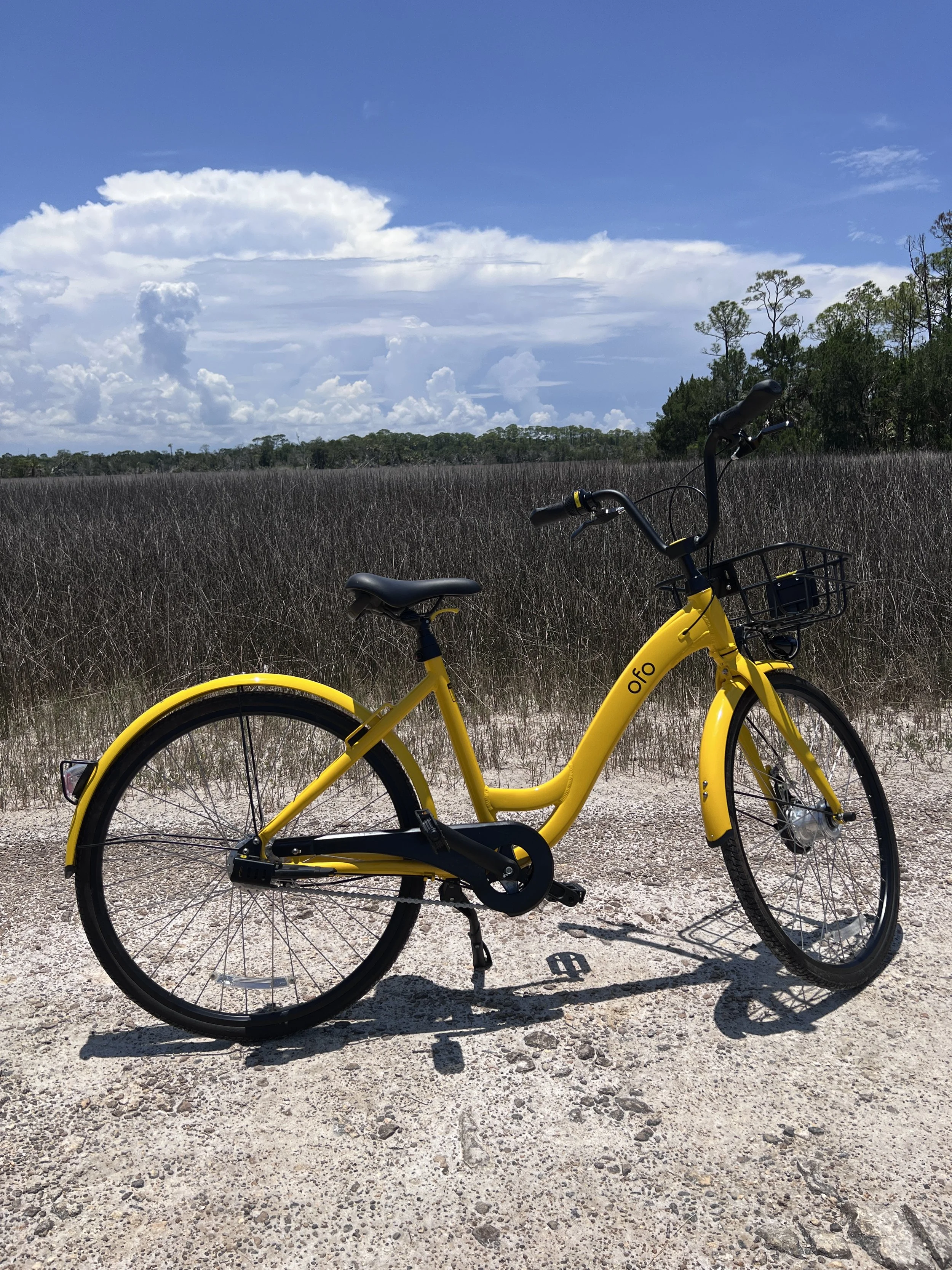Yellow step through bike on unpaved path with short plants in the background