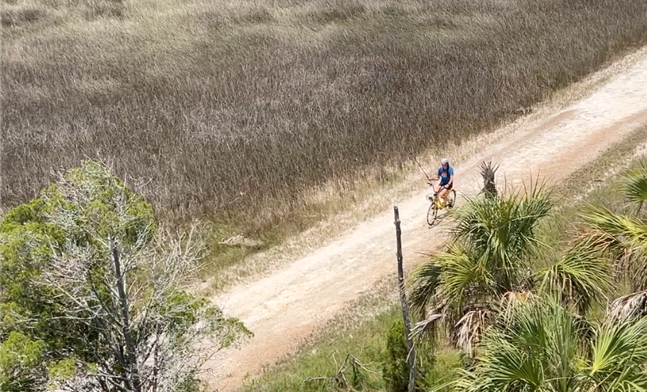 Person riding bicylce along a dirt path through the marshland