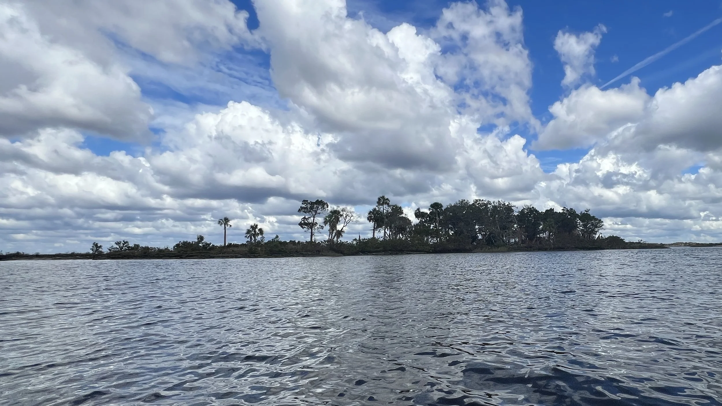 Island with many trees and water in the foreground. White fluffy clouds in a bright blue sky.