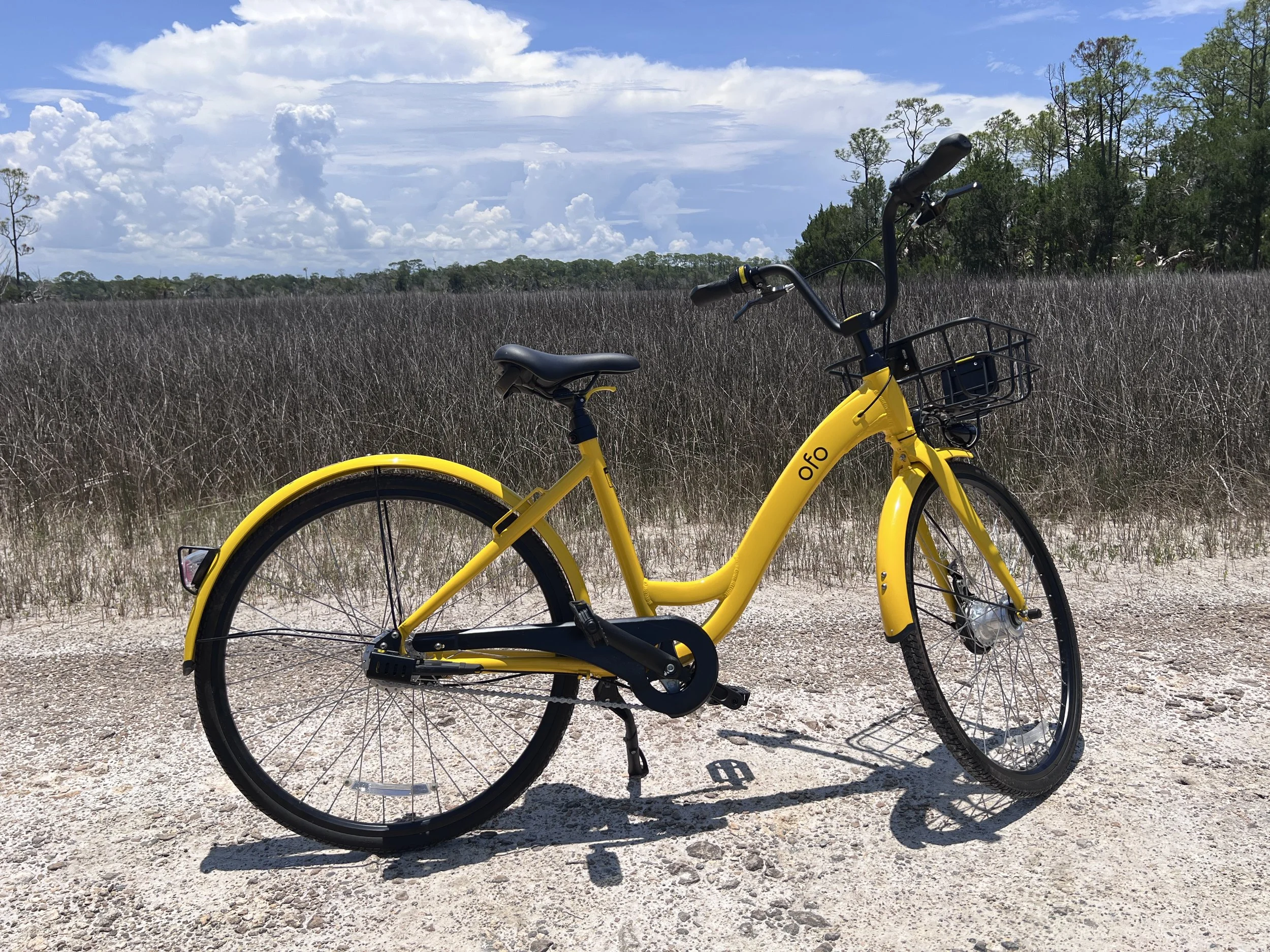 Yellow step-through bike with a black wire basket on a path through the marsh