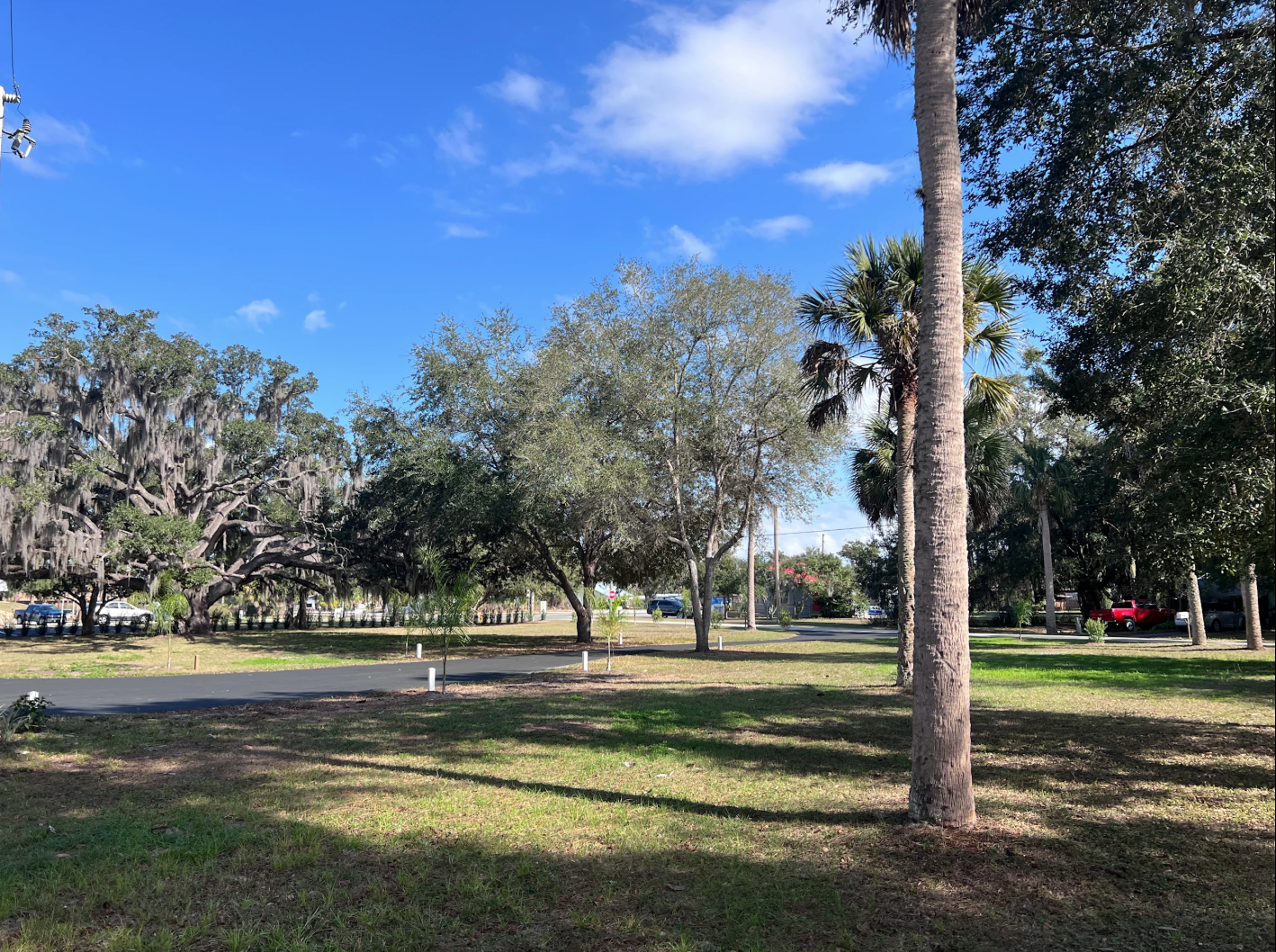 Sundown Republic campsites. Grassy areas, palm trees and oak trees.