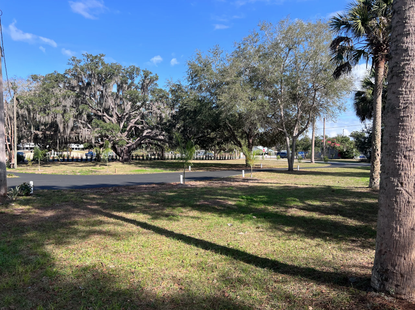 Sundown Republic campsites. Grassy areas, palm trees and oak trees.