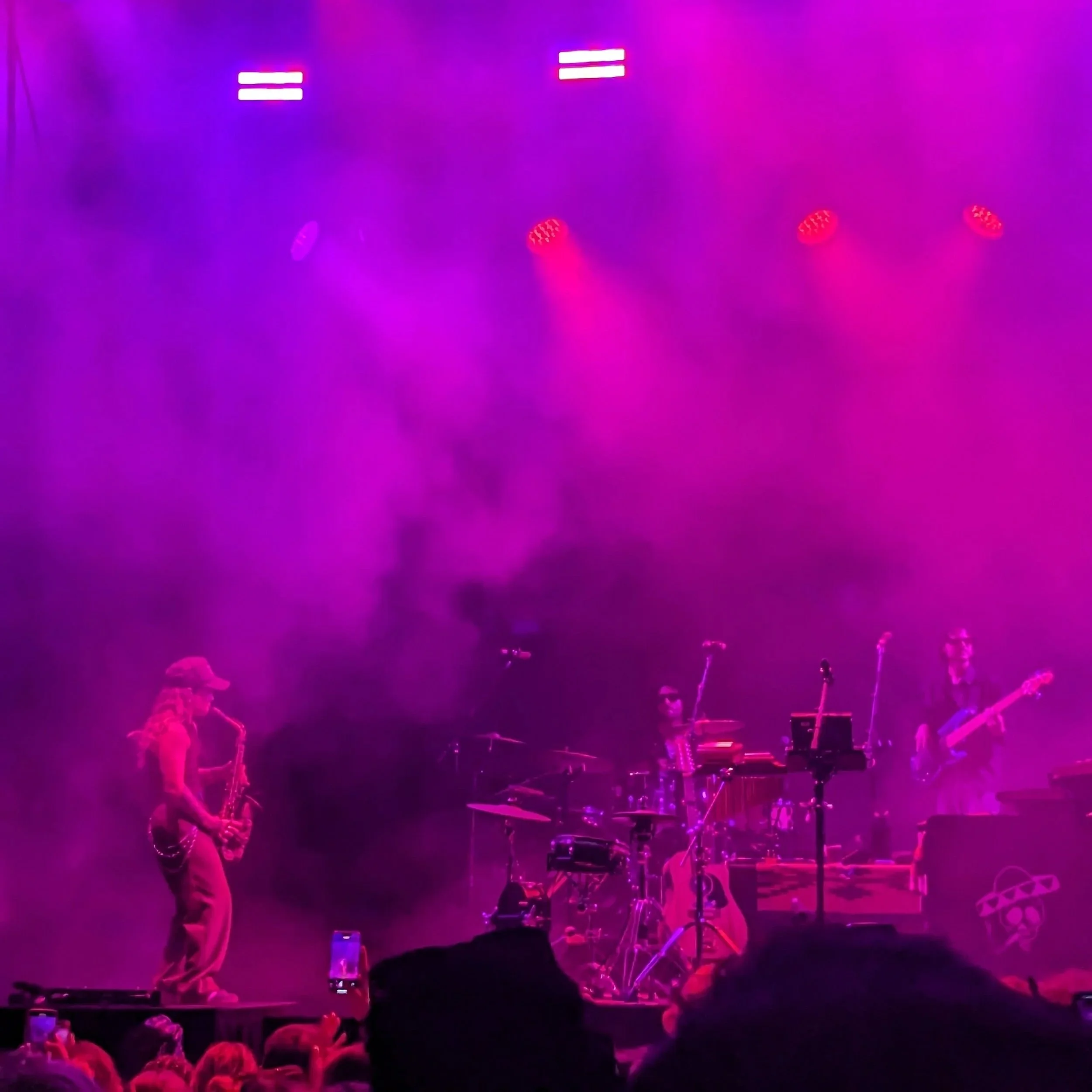 Tash Sultana, Royal Botanic Gardens - 24/11/24