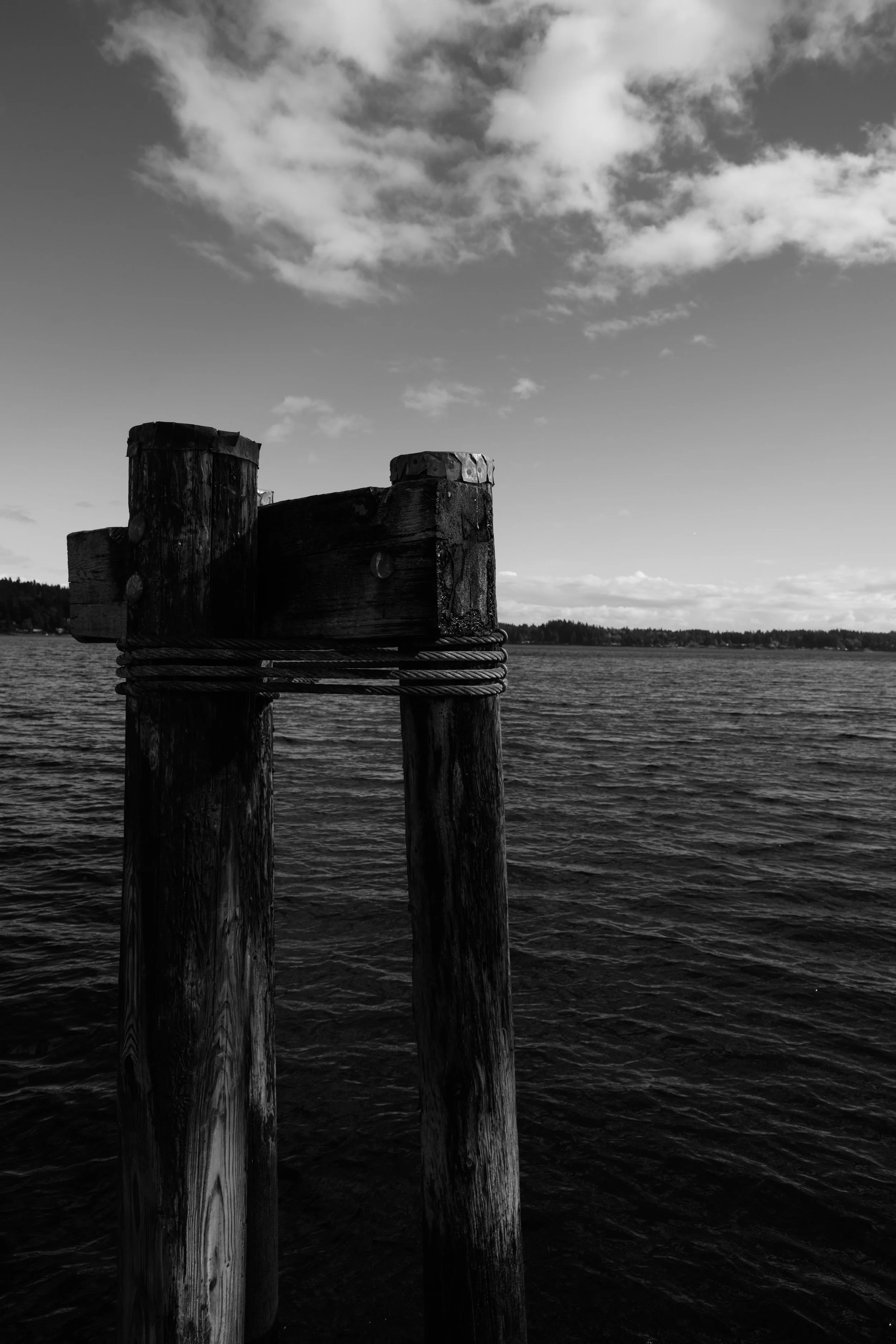 A black and white photo of an old wooden dock post near the water, with a distant shoreline and cloudy sky.