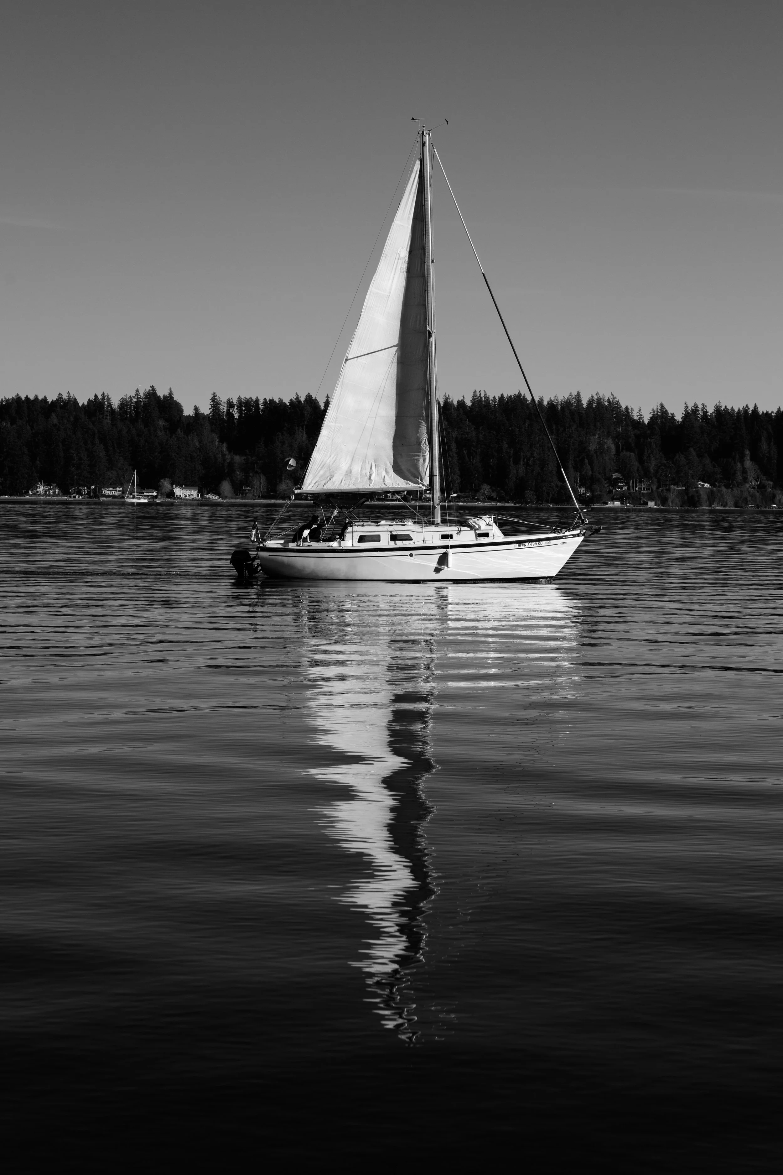 A sailboat floating on a calm body of water, with a distant shoreline and trees in the background, in black and white.