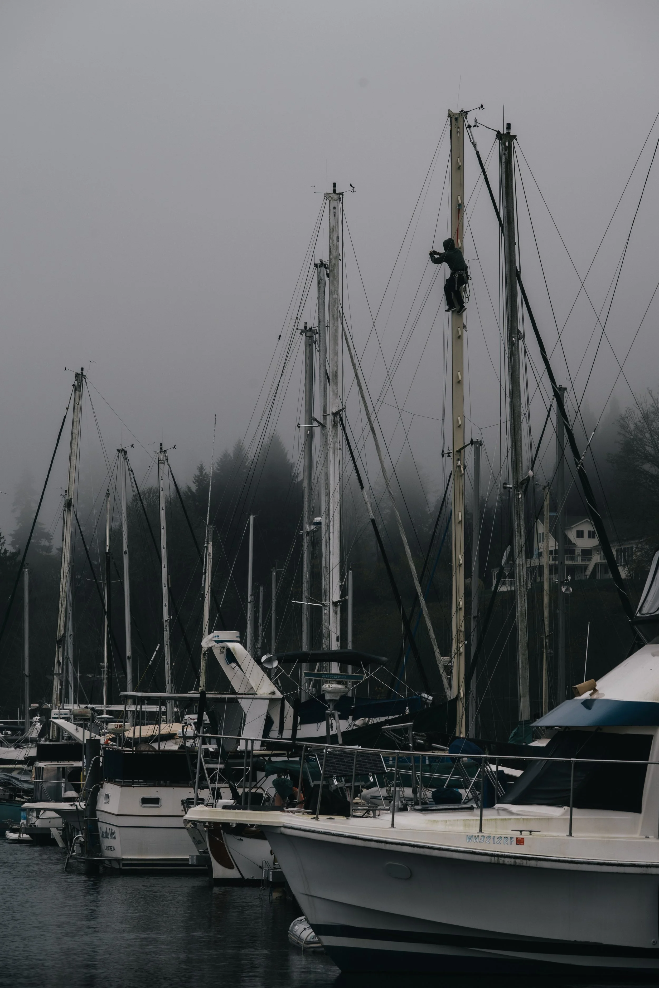 A person climbing a boat mast at a marina on a foggy day with multiple sailboats docked.