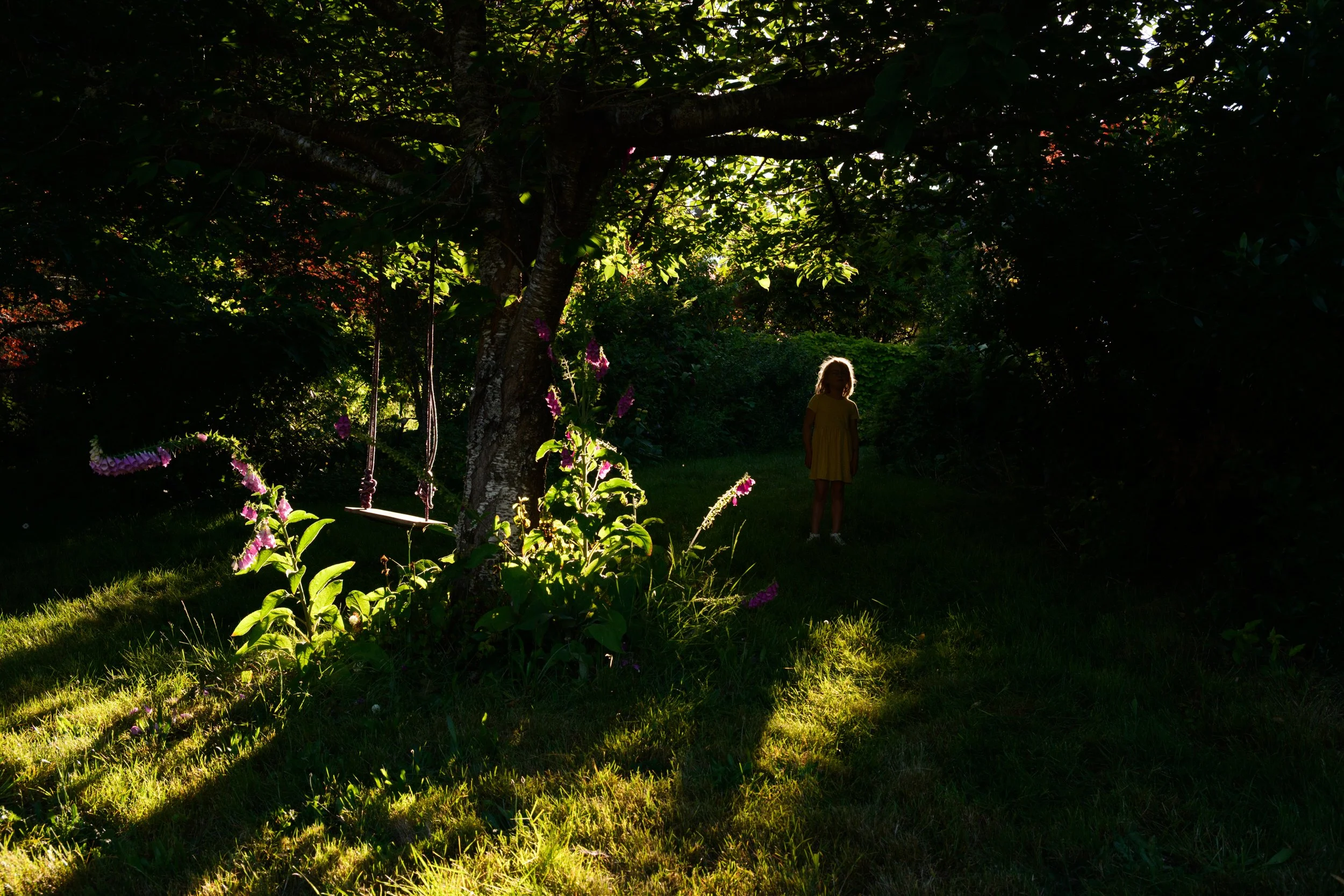 RP6_0762.jpg