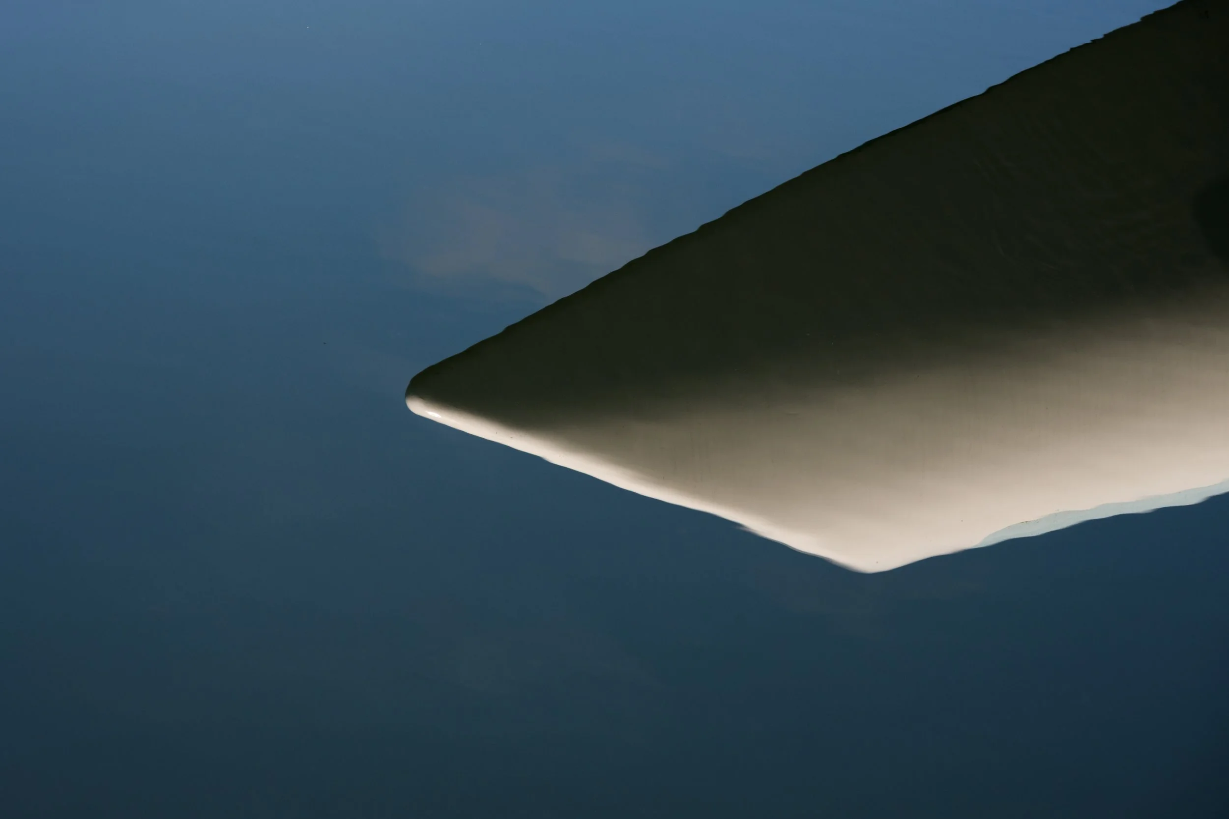 8 RP6_5430.jpg