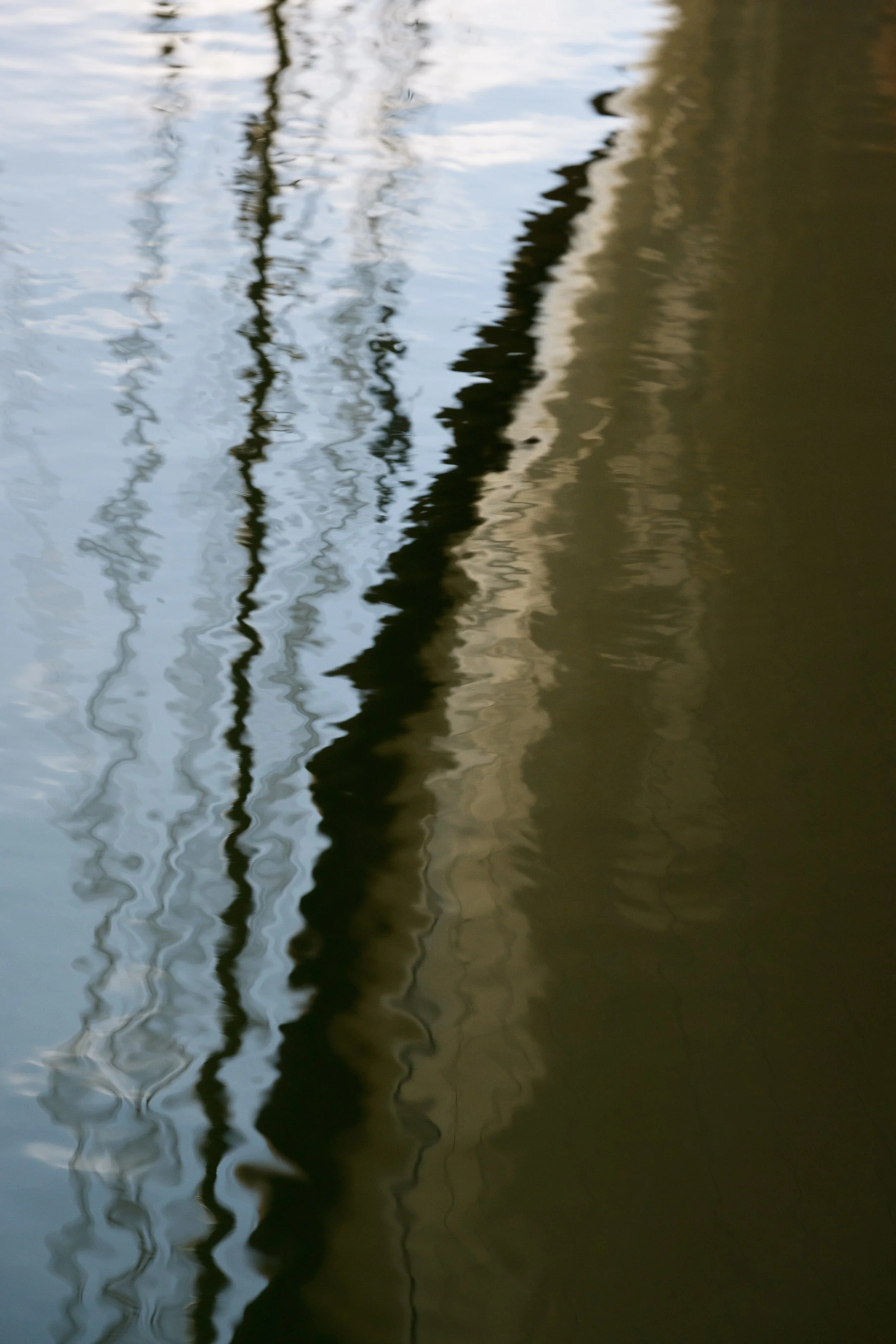 10 RP6_5590.jpg