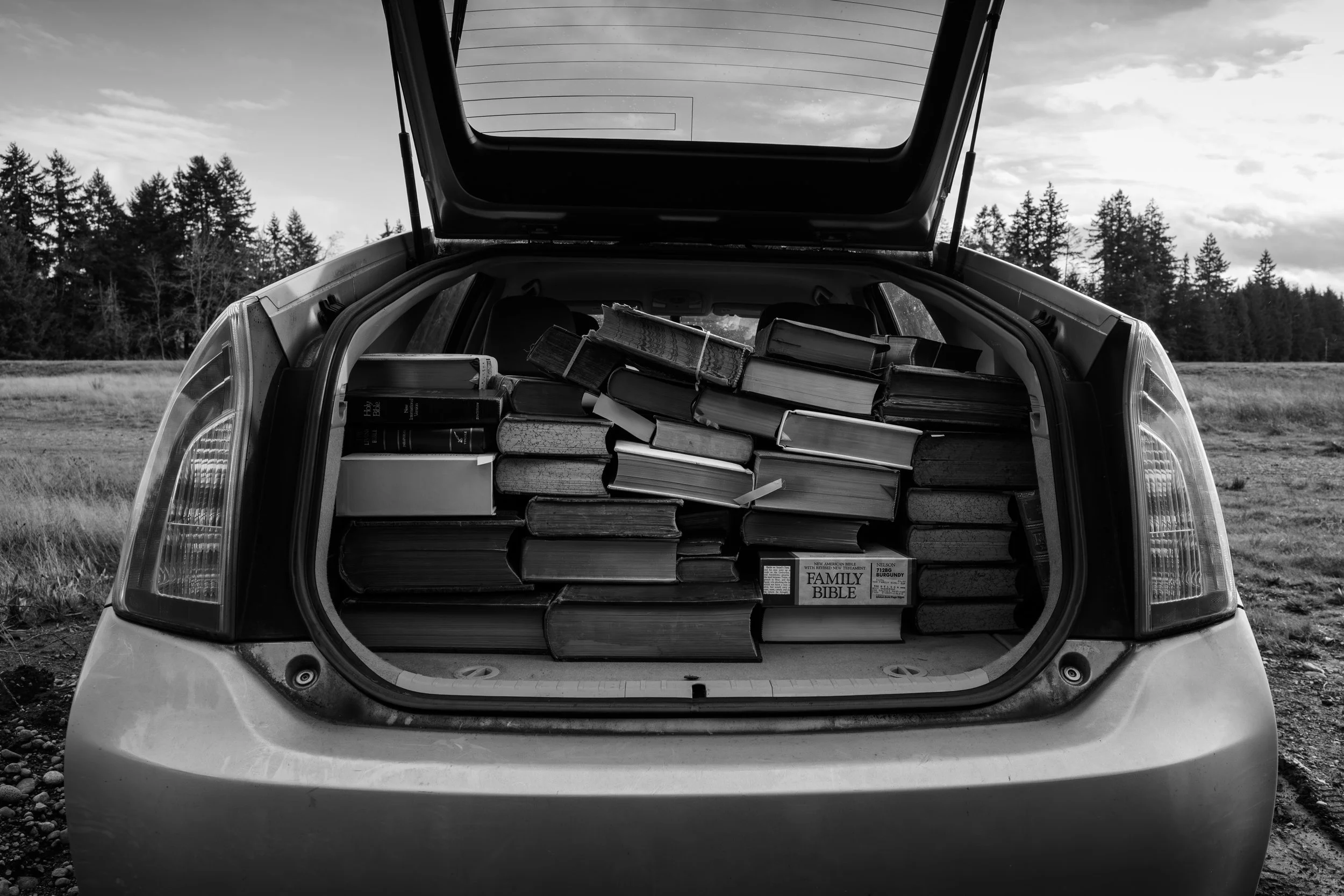Open car trunk filled with stacked books, some with bookmarks, in an outdoor rural setting with trees and cloudy sky in the background.