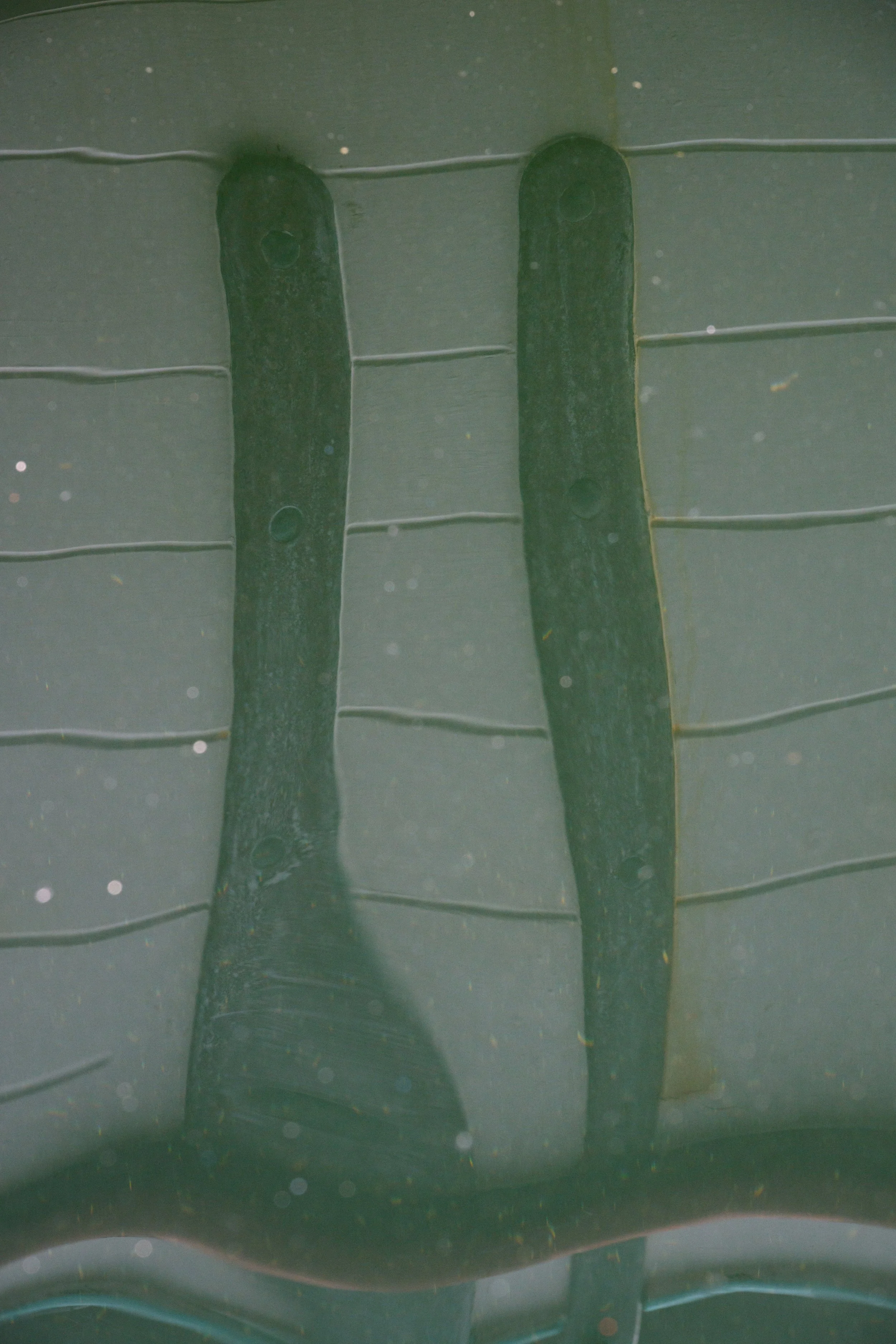 14 RP6_5572.jpg