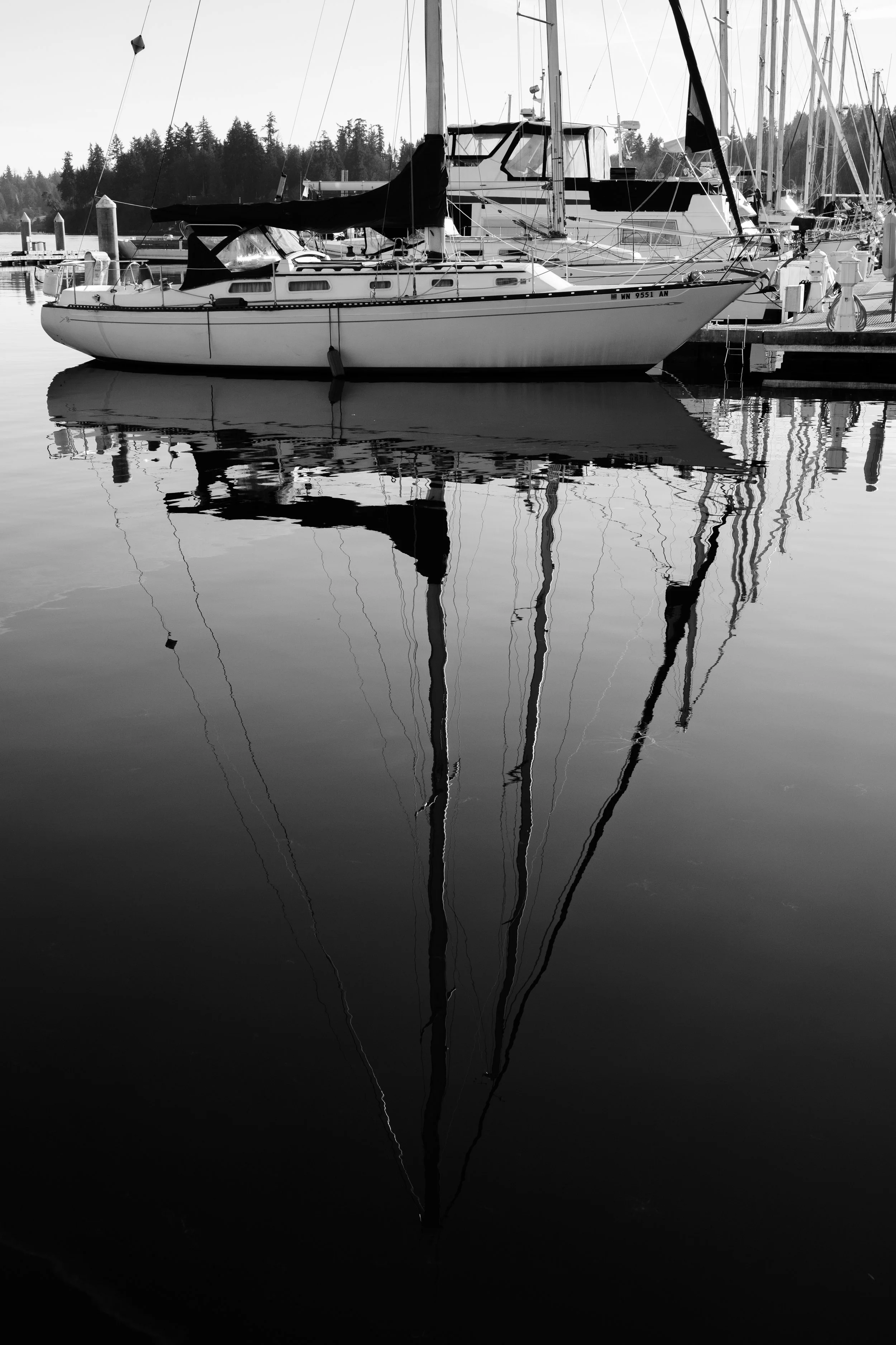 A black and white photo of sailboats docked at a marina, with their reflections visible in the calm water.