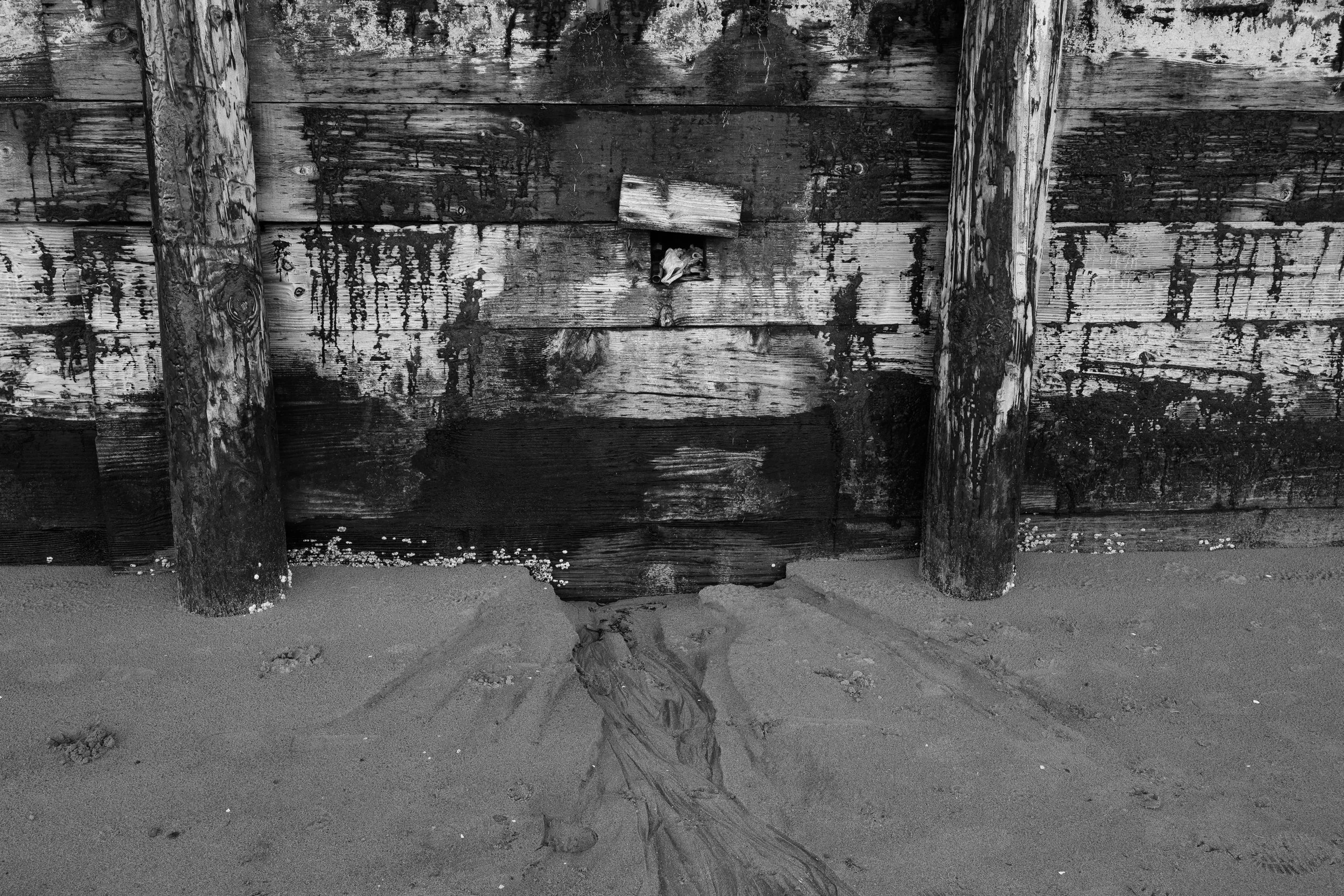 Black and white image of weathered wooden structure with sand and debris at the base, including a small hole in the wood with a rodent's head visible inside.