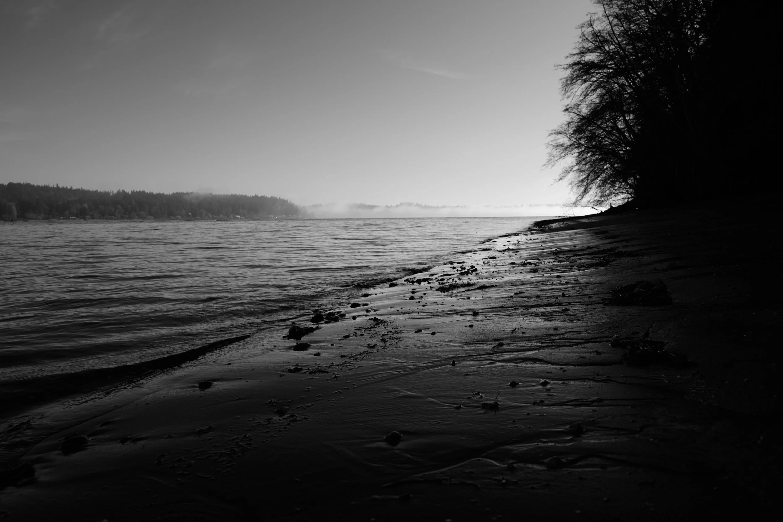 Black and white photograph of a quiet shoreline with calm water, a tree-lined bank on the right, and distant fog or mist over the water and land in the background.
