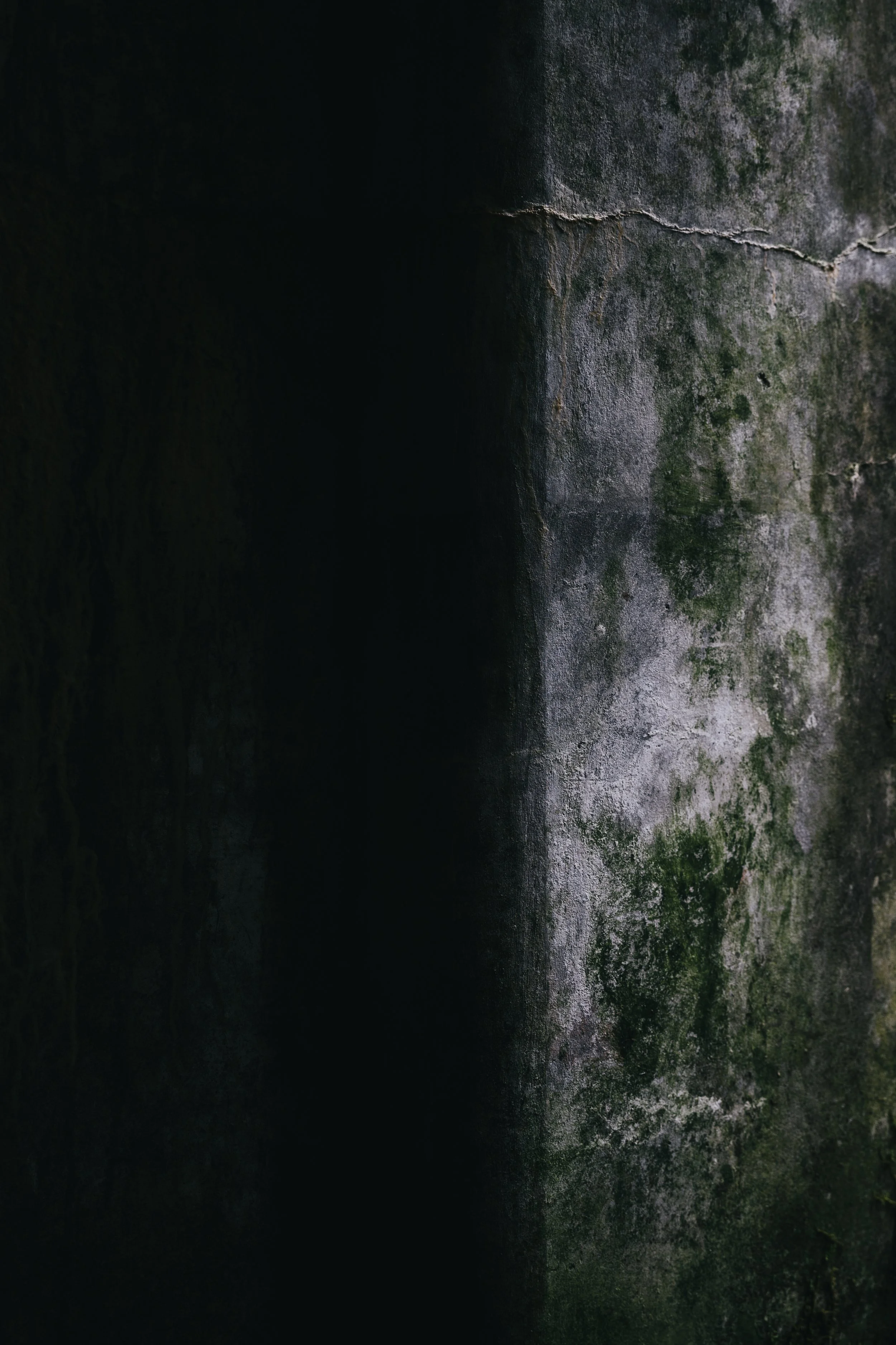 A moss-covered concrete wall with a prominent crack, partially shrouded in shadow.