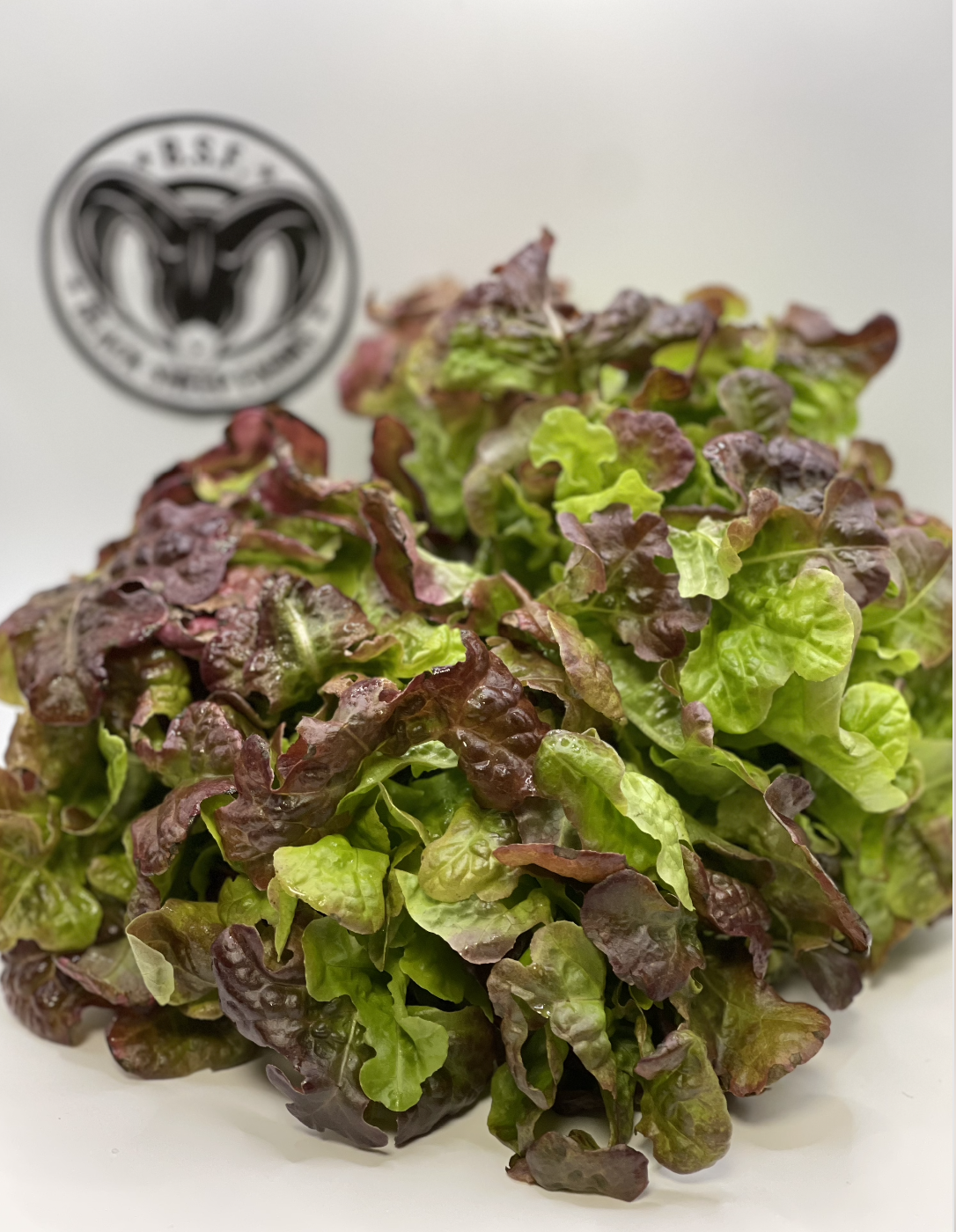 Fresh mixed leafy greens lettuce with red and green leaves on a white surface, with a USA flag sticker in the background.