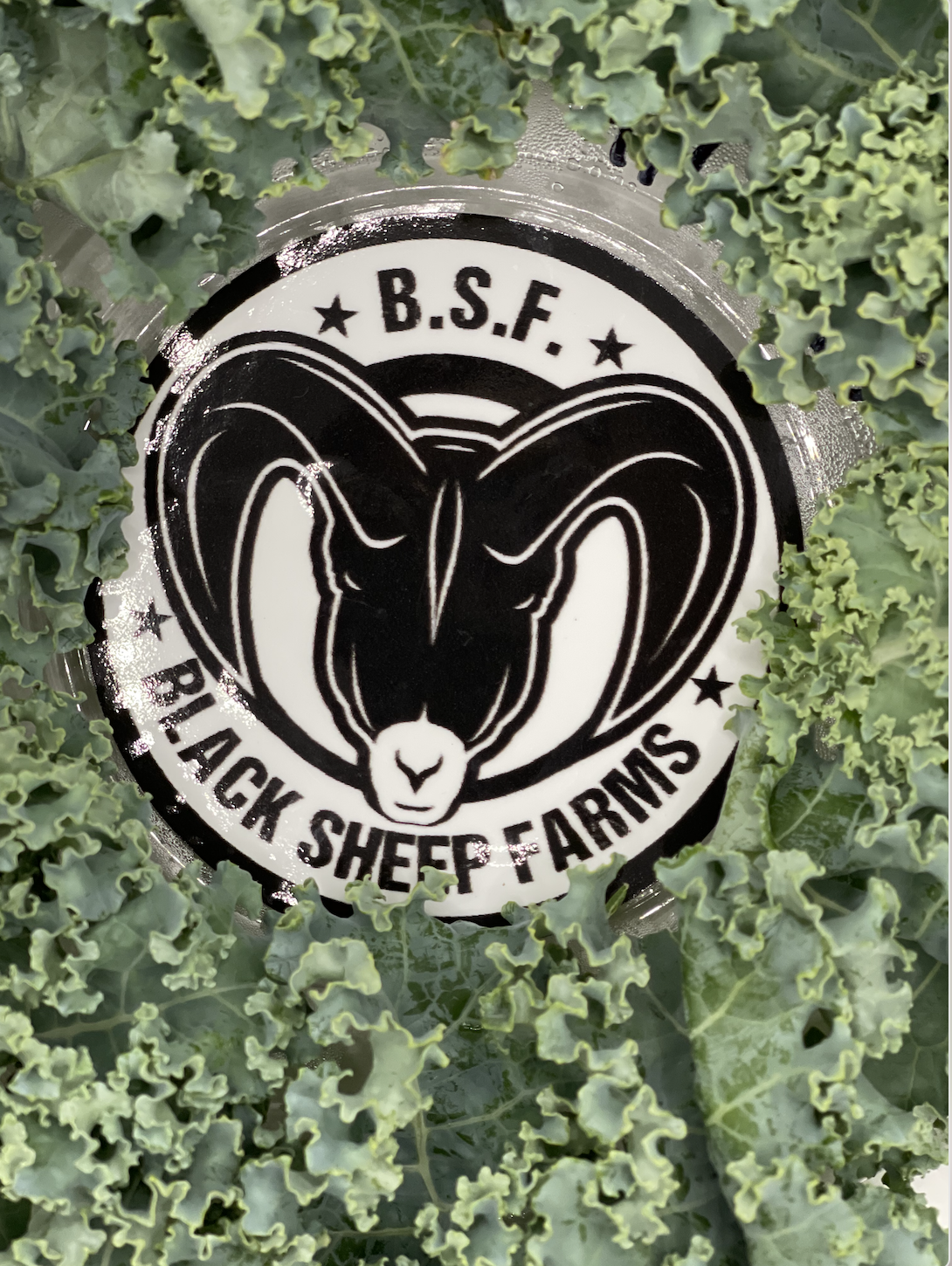A circular sticker with the logo of Black Sheep Farms featuring a black ram's head, surrounded by green kale leaves.