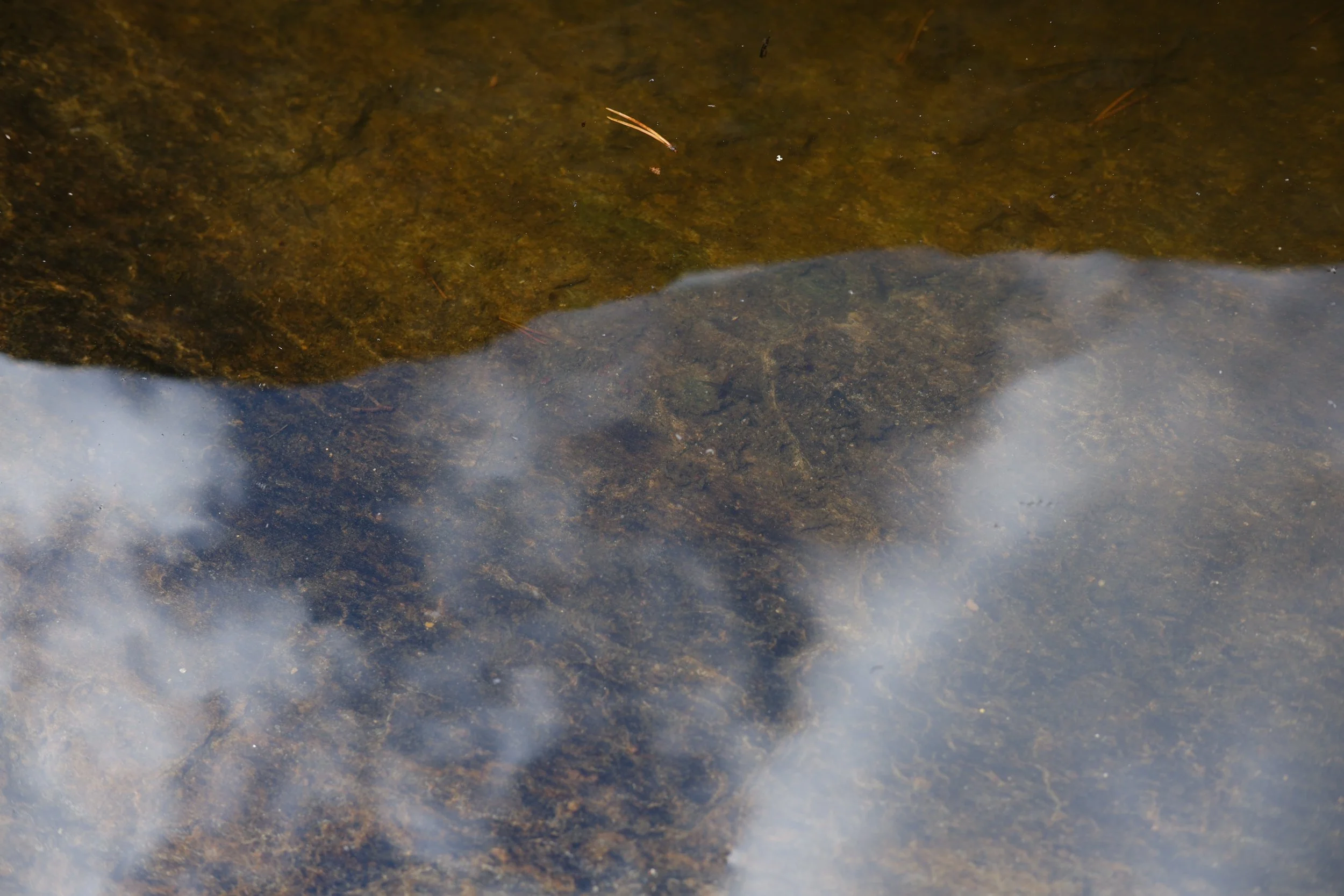 DSCF1352_web.jpg