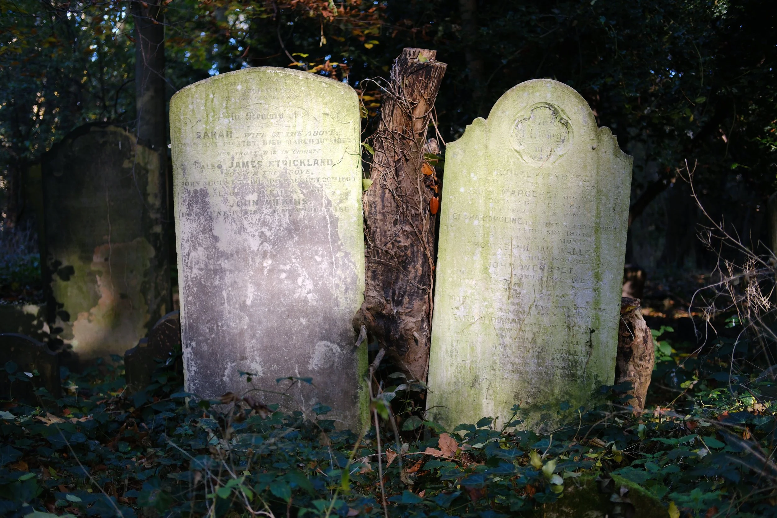 DSCF9734_web.jpg