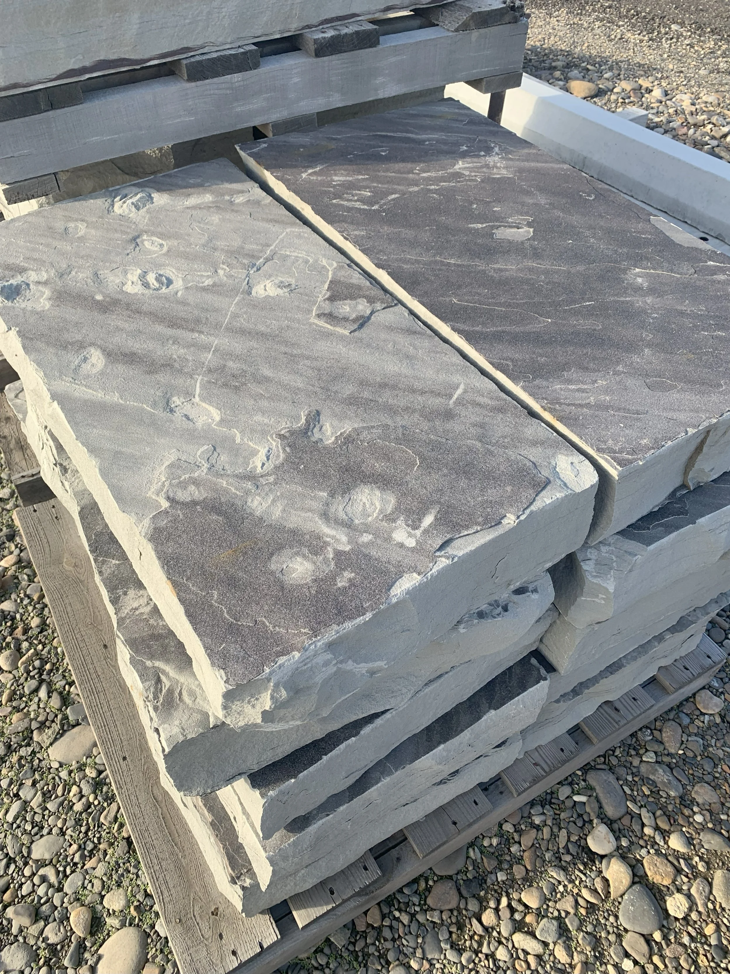 Tahoma Blue Chop Steps