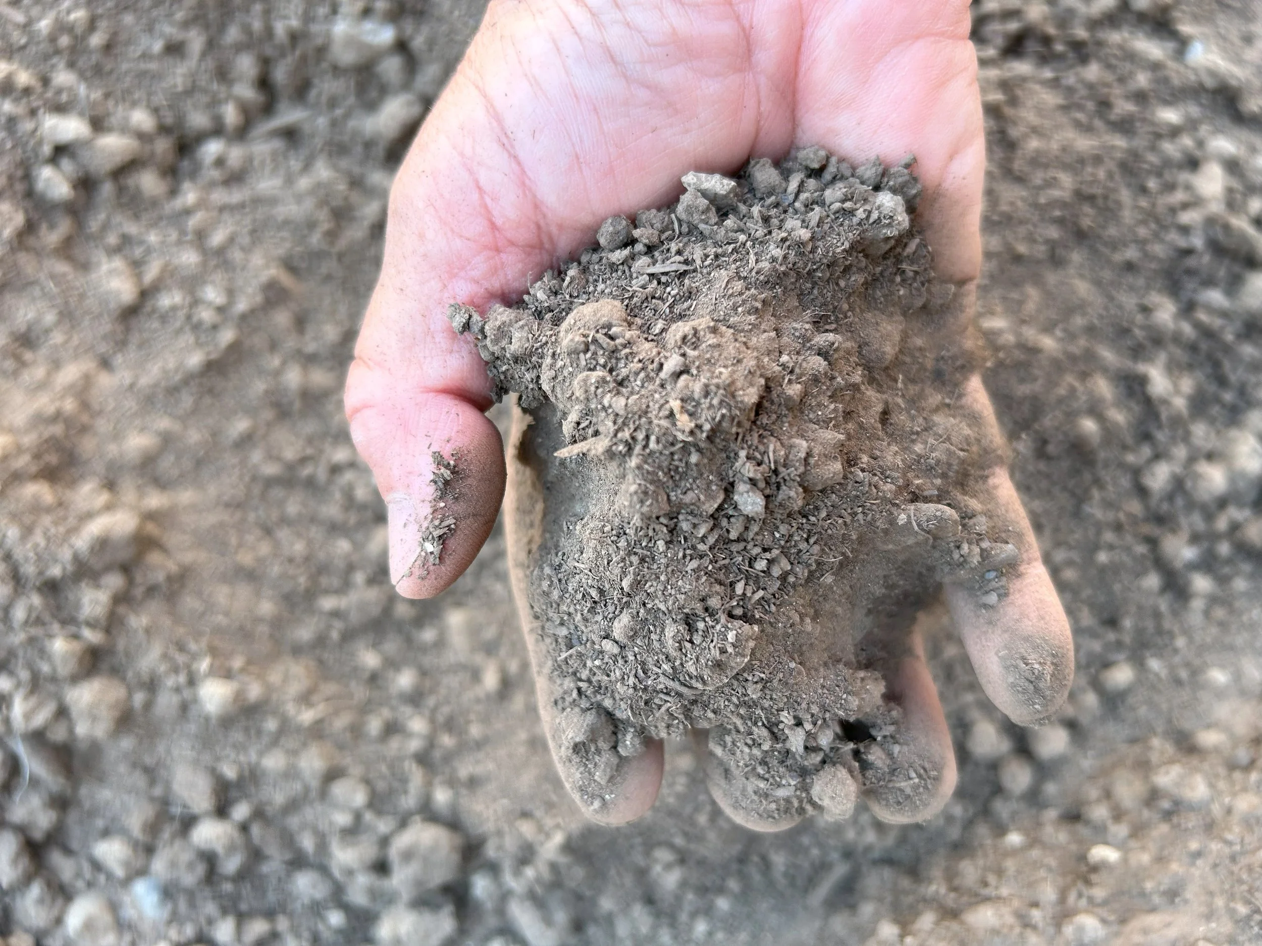 Premium Organic Compost (aged & screened steer manure)