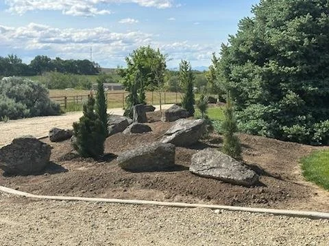 Landscaped yard with large rocks and small trees, background shows open landscape with trees and fence under partly cloudy sky.