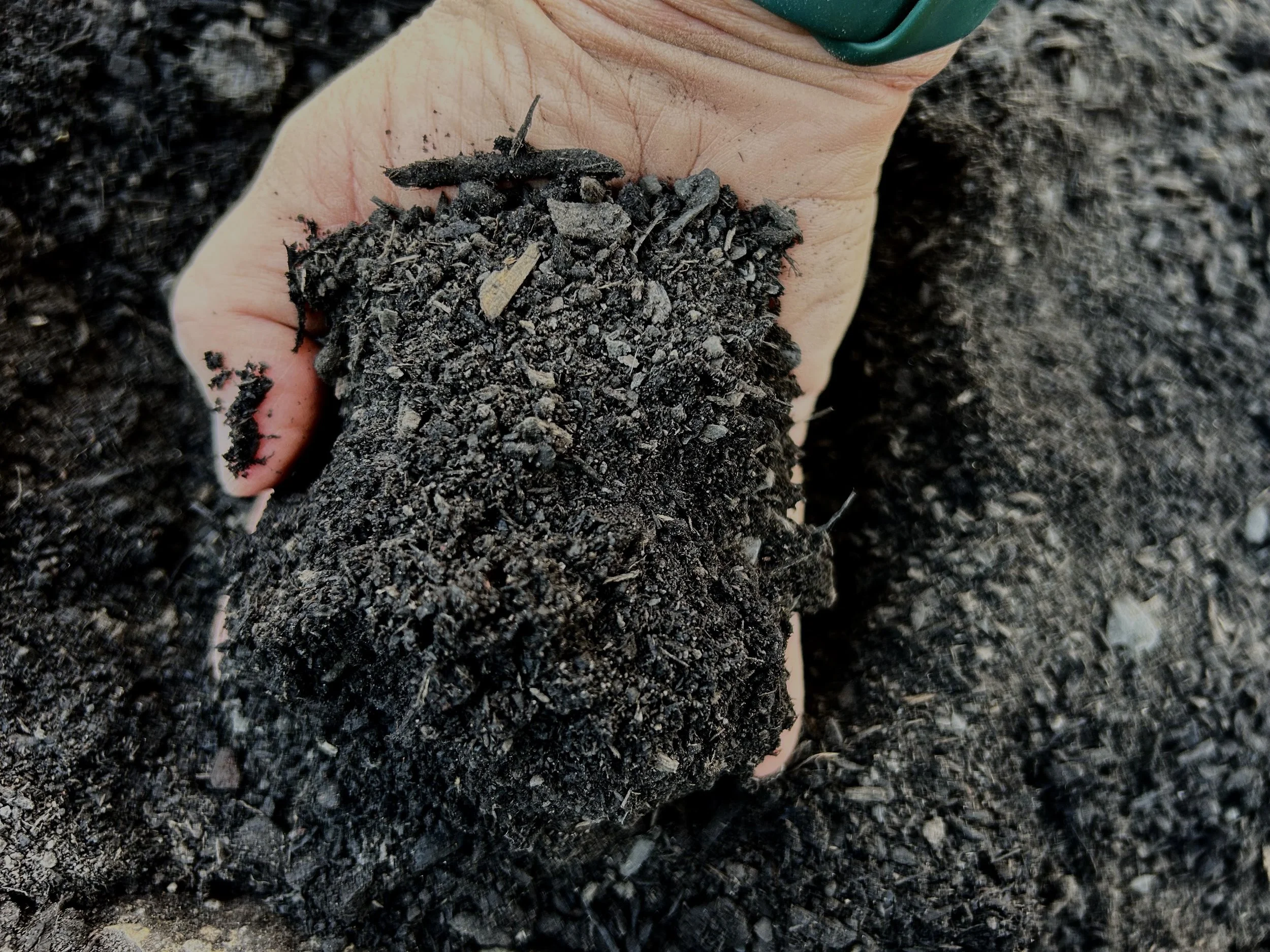 Forest Compost