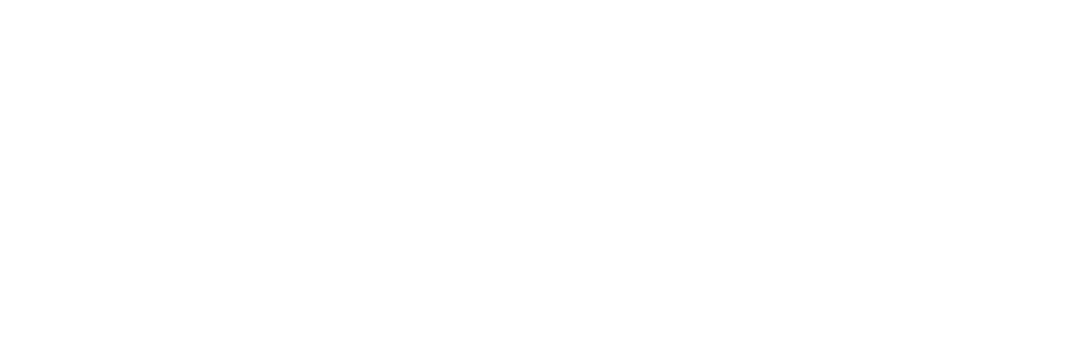 FOETTI