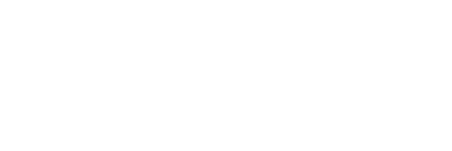 FOETTI