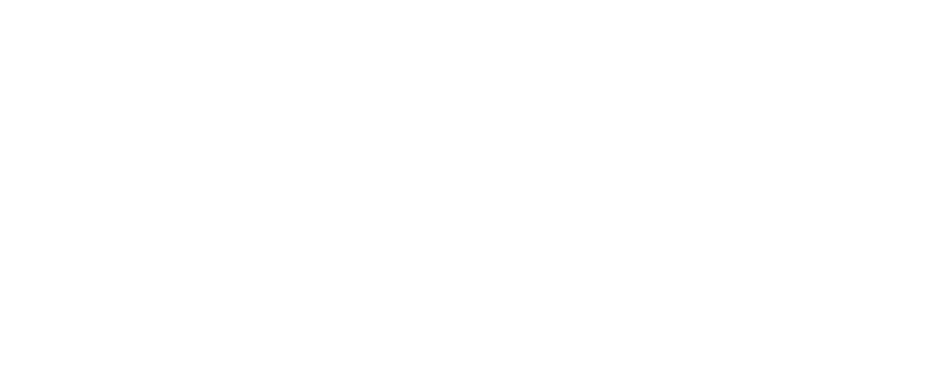 FOETTI