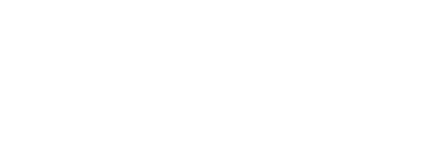 FOETTI