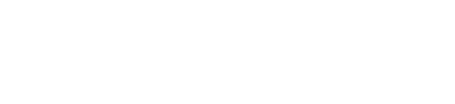 FOETTI