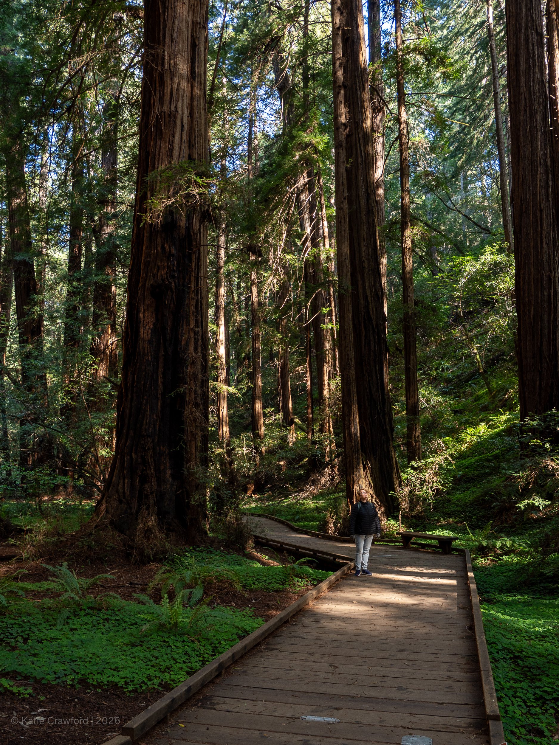 Among the Giants .jpg