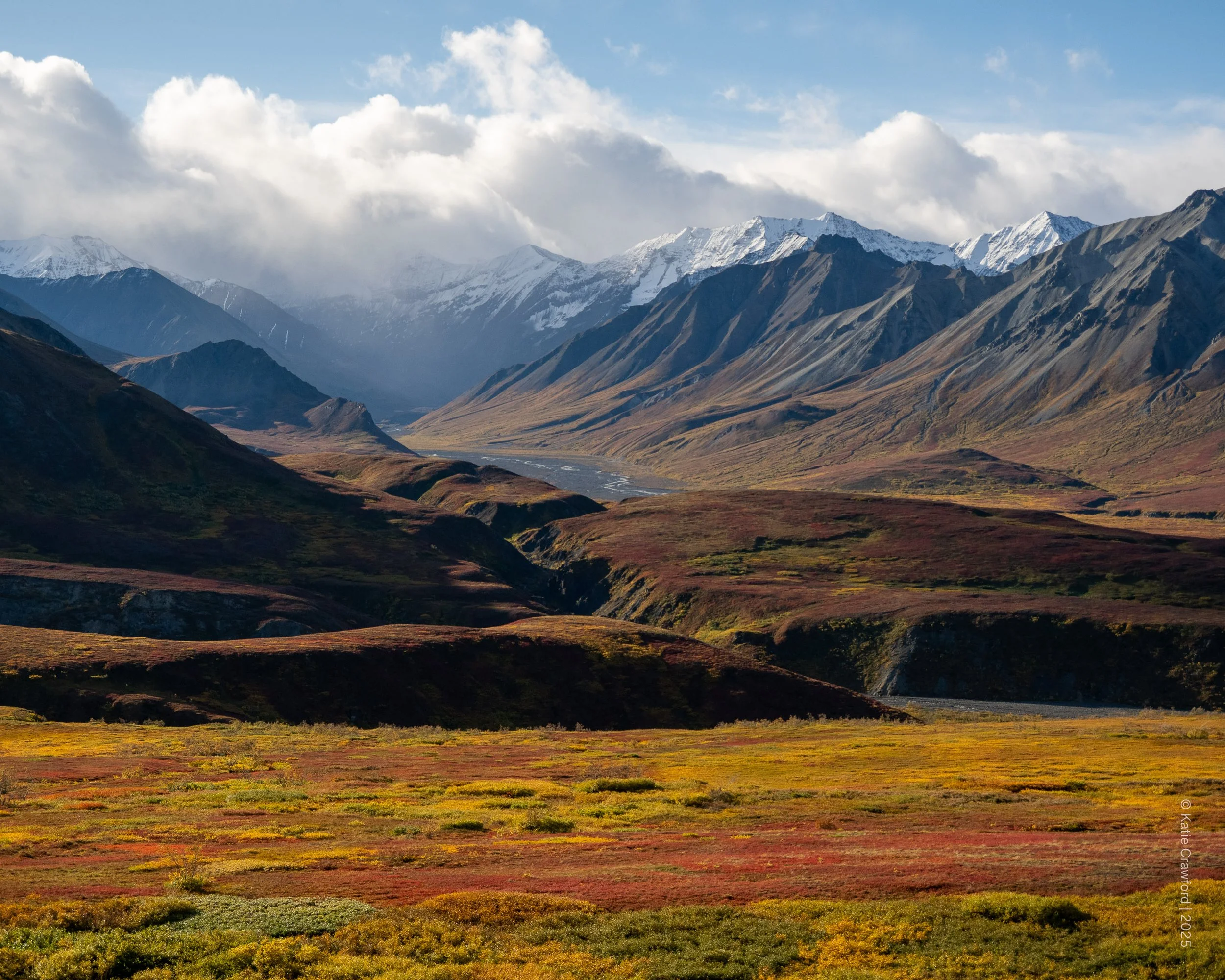 Autumnal Tundra .jpg