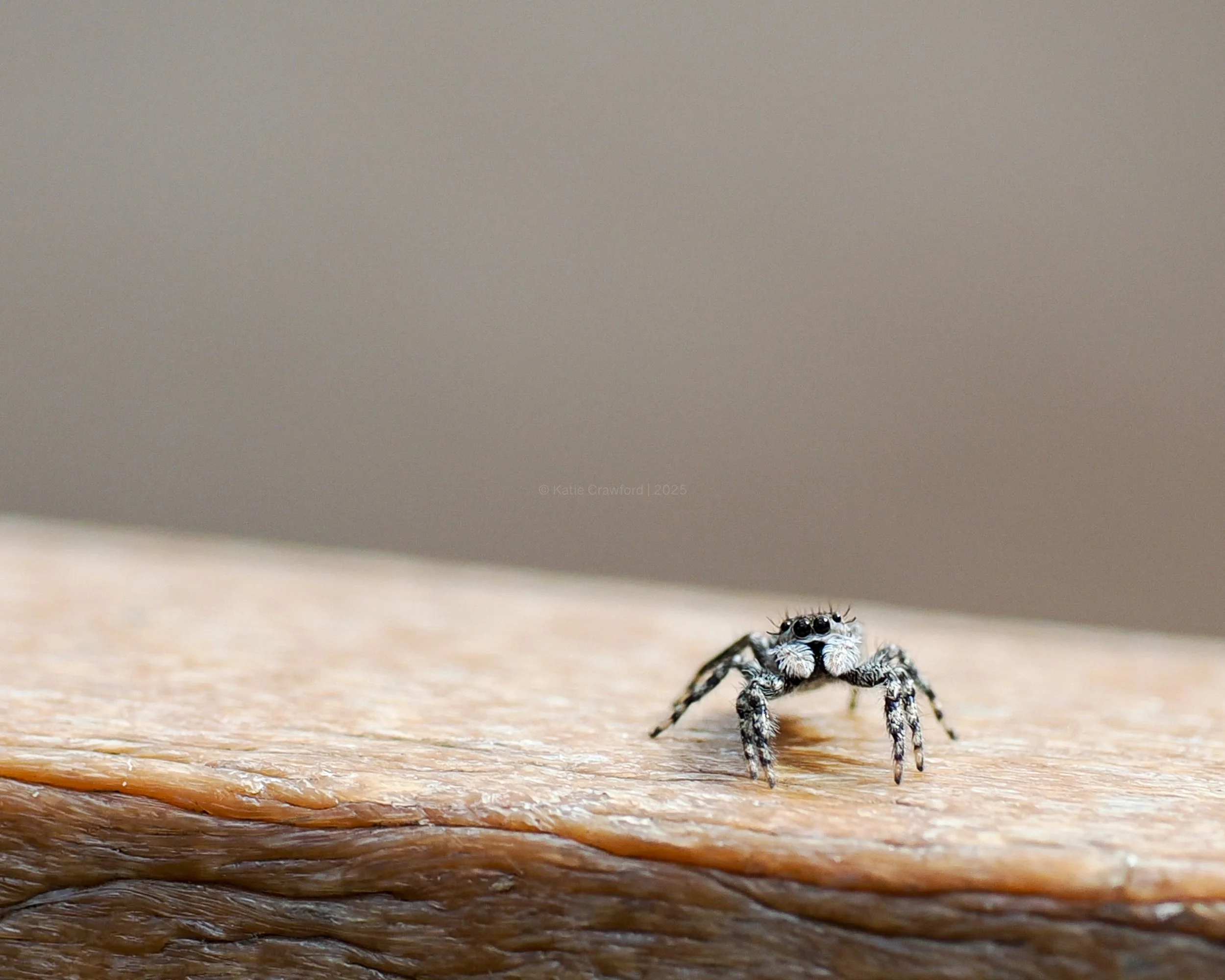 Tan Jumper (Darling) - Side -2.jpg