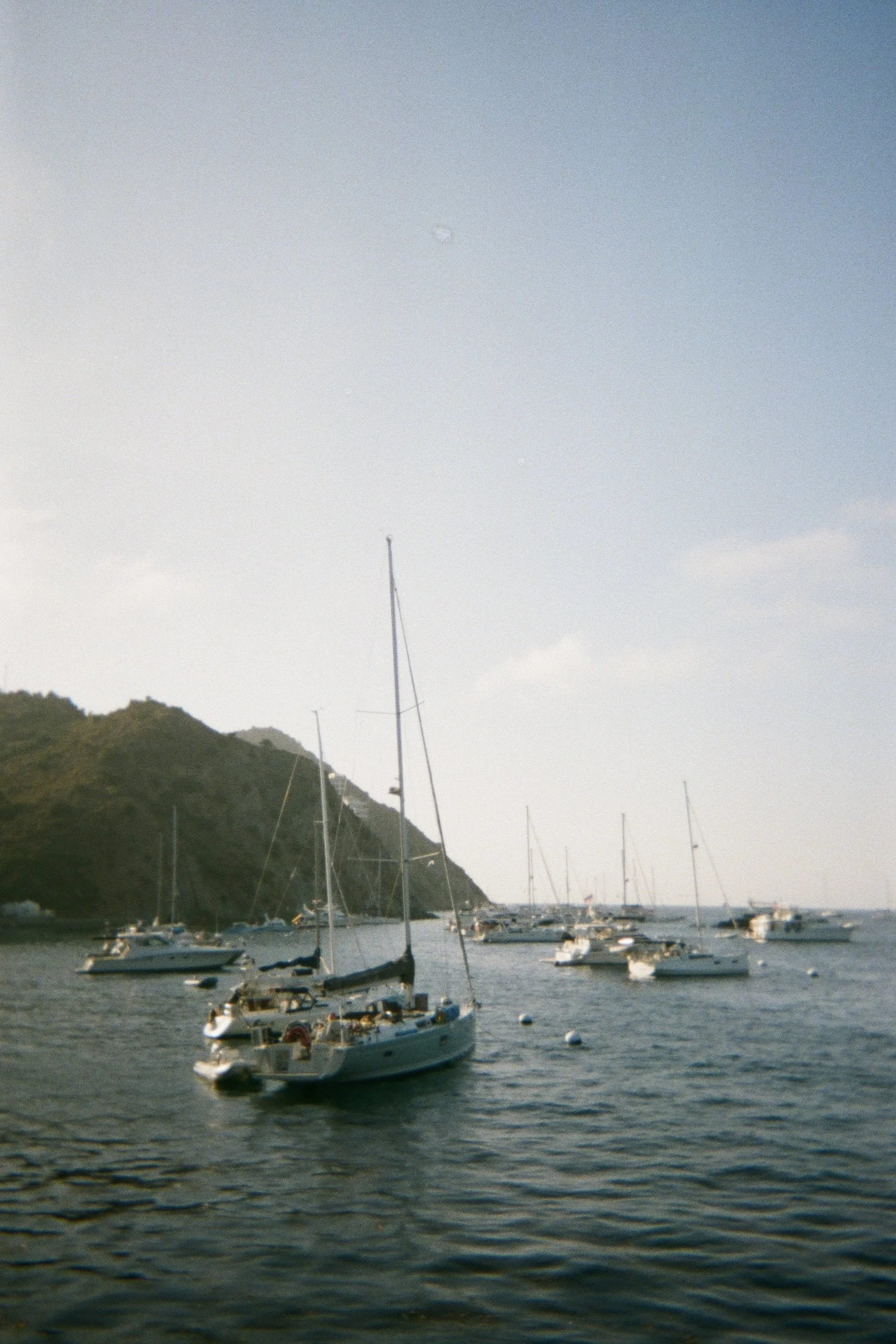 IMG_7116.JPG