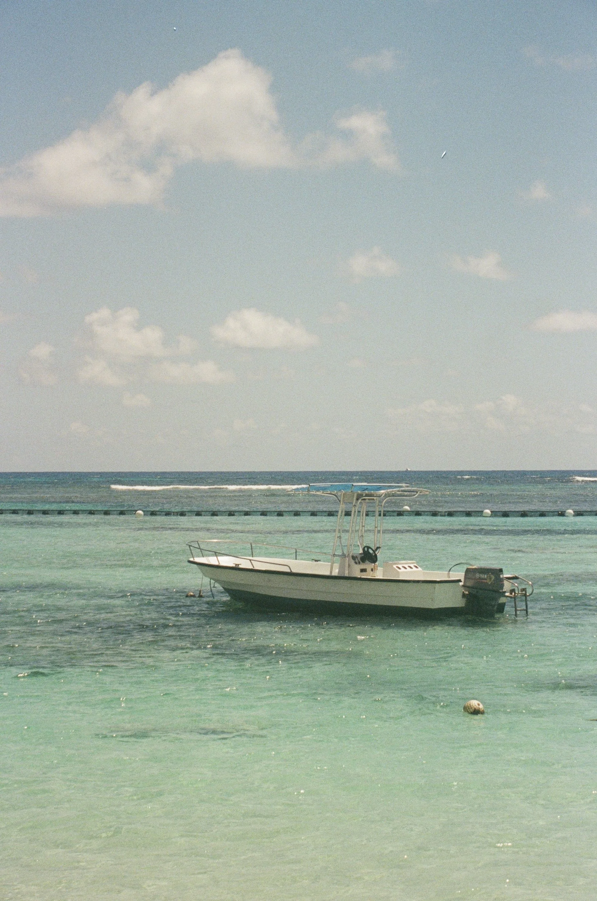 IMG_9473.jpg