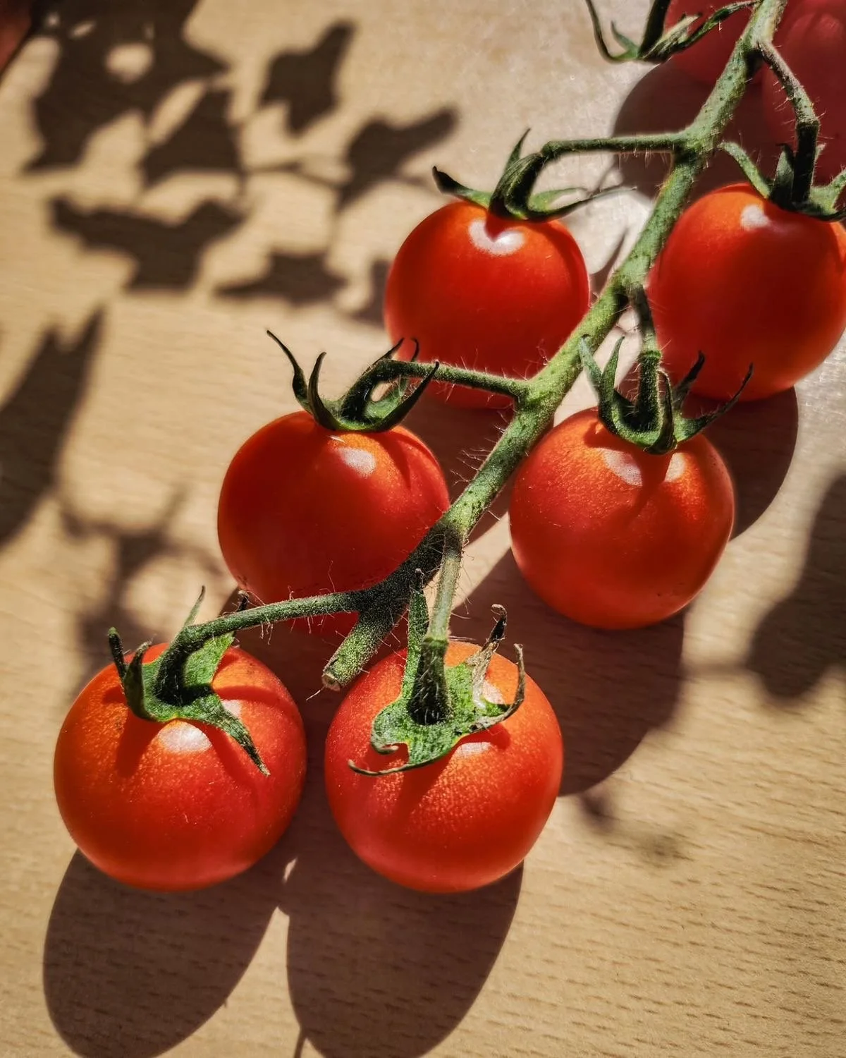 The Hot Plate Project: Meal Prep Day