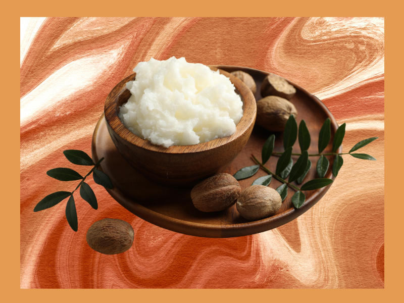 Shea butter in a bowl with shea nuts surrounding it.
