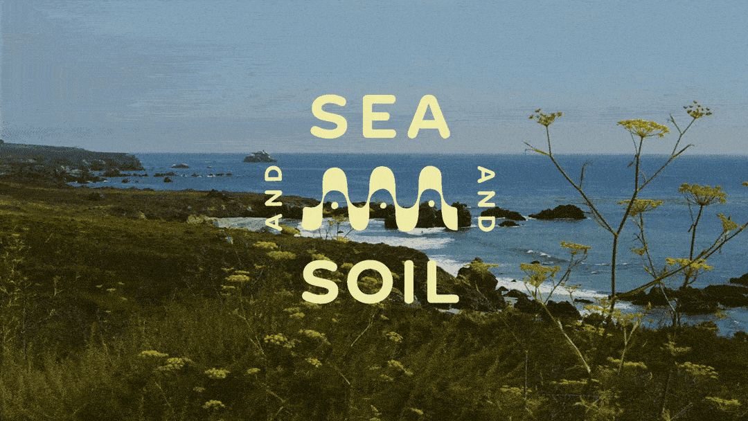 Coastal landscape with rocky shoreline, waves hitting rocks, and sparse plants in the foreground. Overlaid text reads 'Sea and Soil' with an illustration of waves.