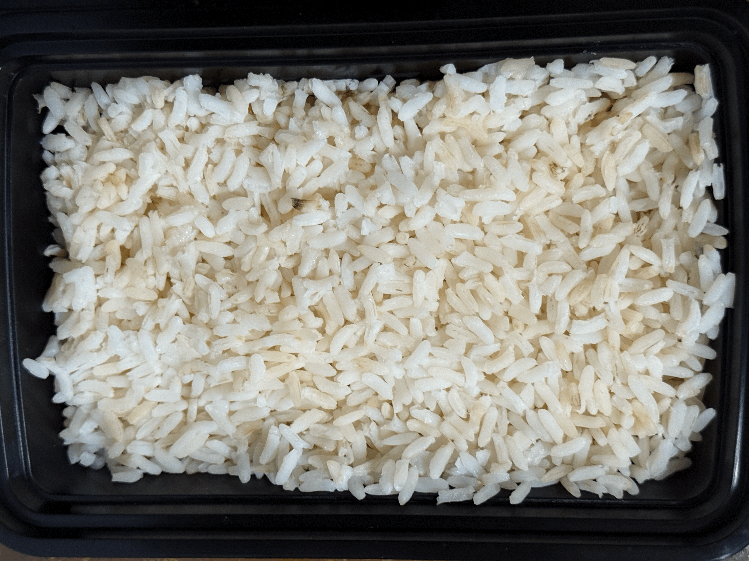 BULK WHITE RICE