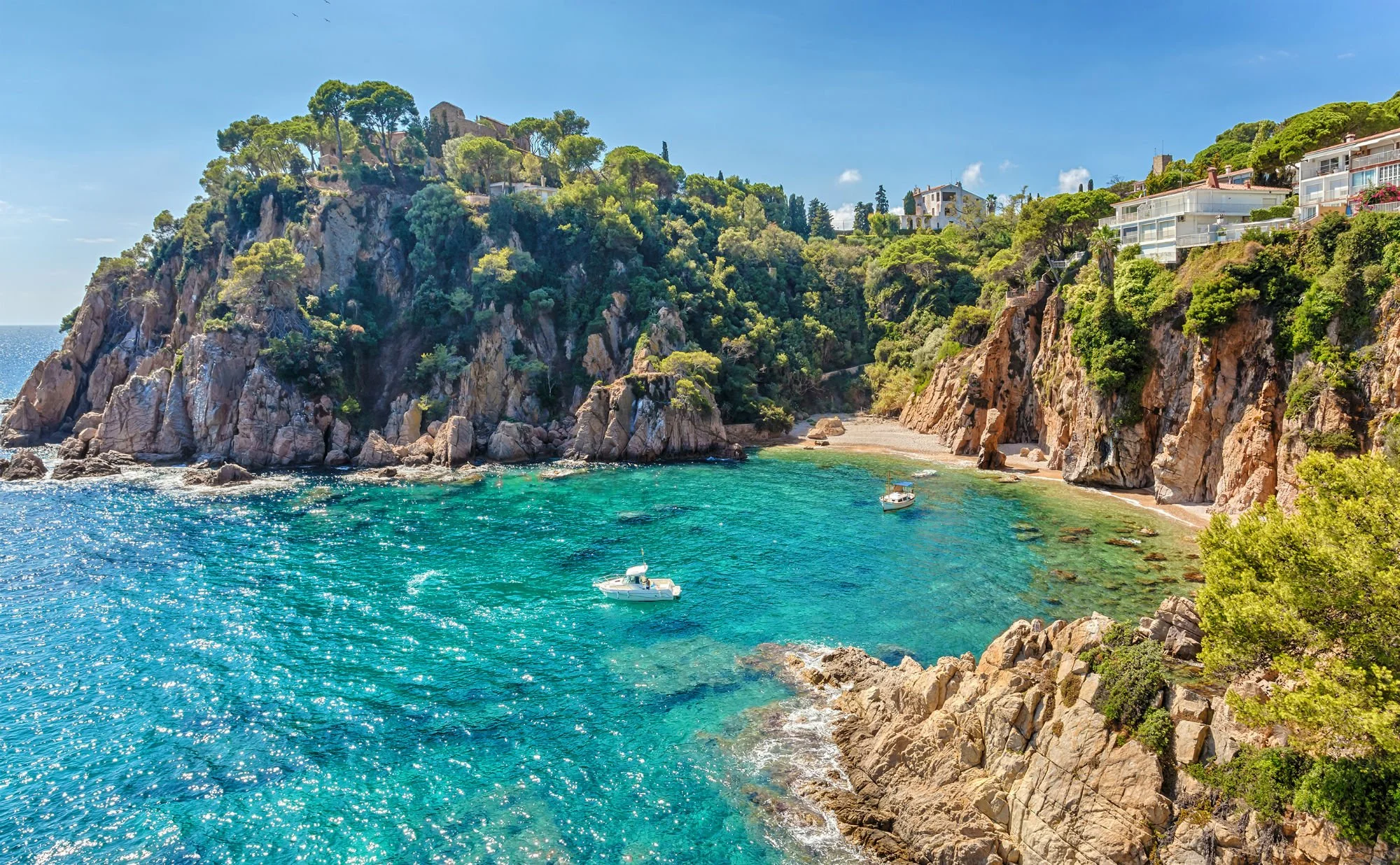 9ce1de5e-blanes-title.jpg