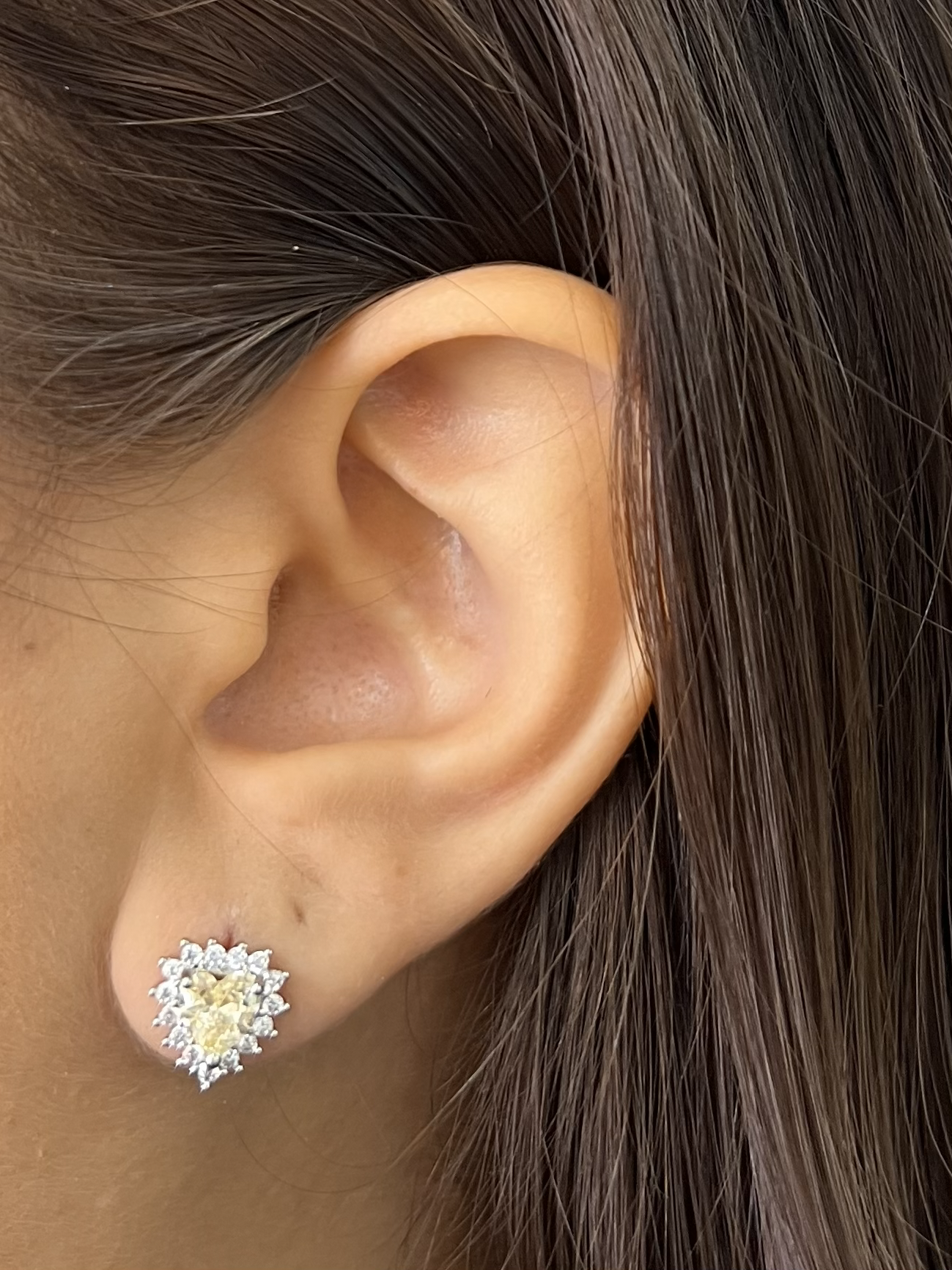 Tamanho G-Mostra.png