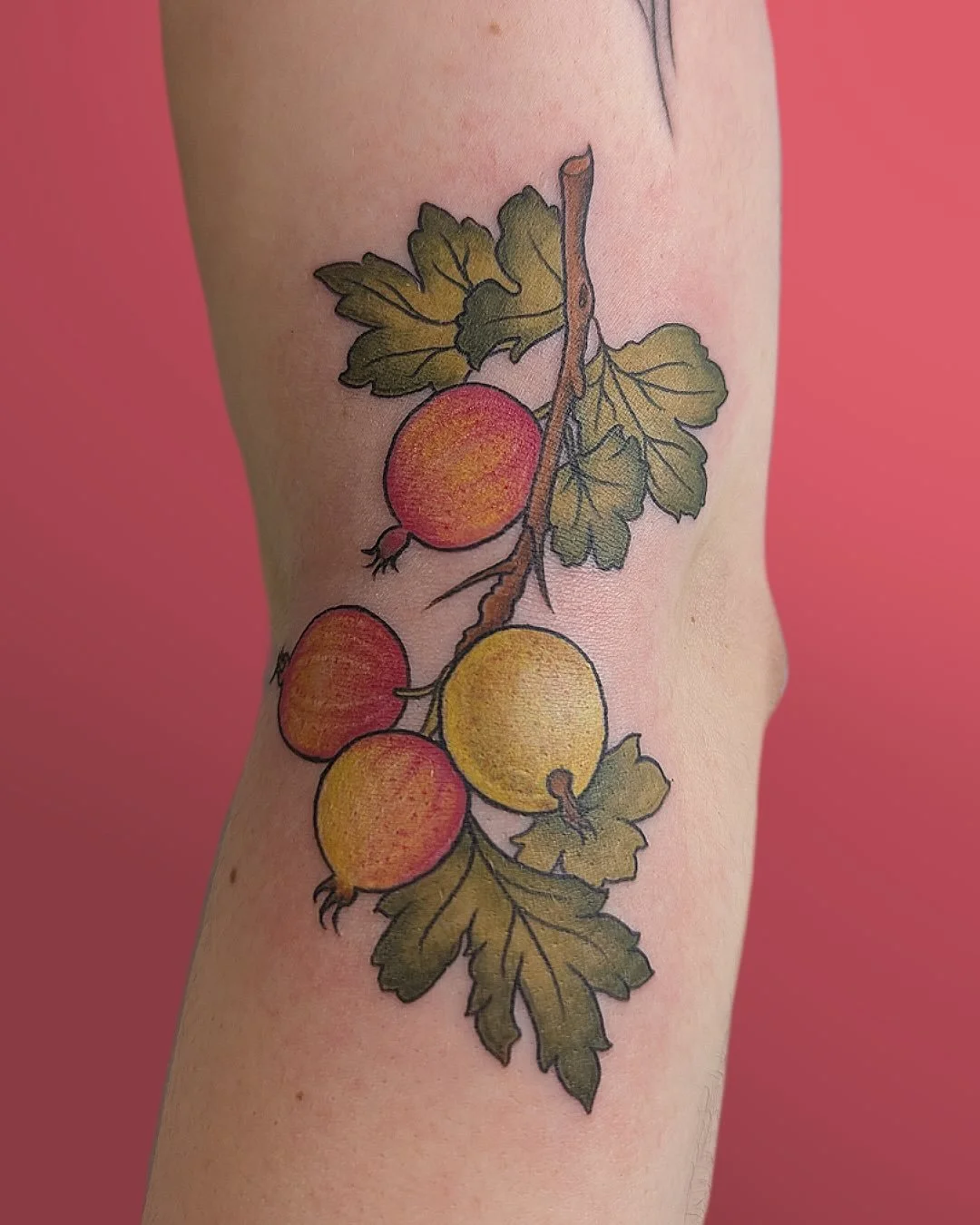 Gooseberries! I would 💖love💖 to do more color pieces like this! Thank you for your trust, friend. And for our thoughtful chats 💖

Done at @cozycampcollective