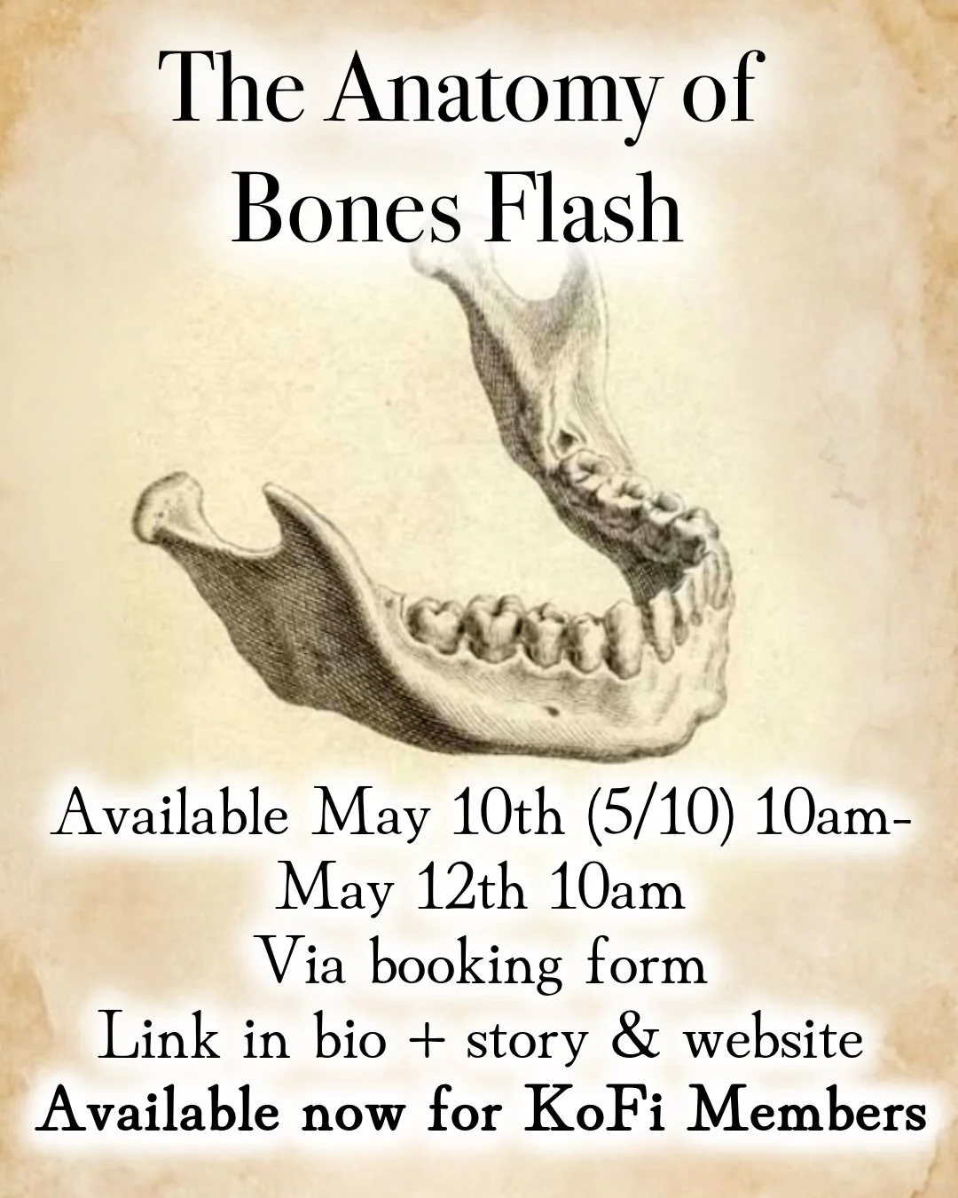 Pieces from &ldquo;Ostegraphia&rdquo; or &ldquo;The Anatomy of Bones&rdquo; by William Cheselden c. 1733

Of note, the smaller you get the flash pieces, the less details I&rsquo;ll be able to capture in your tattoo. 

Flash and customs are available 