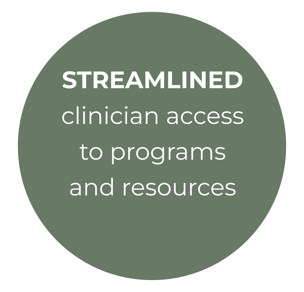 Streamlined clinician access to programs and resources