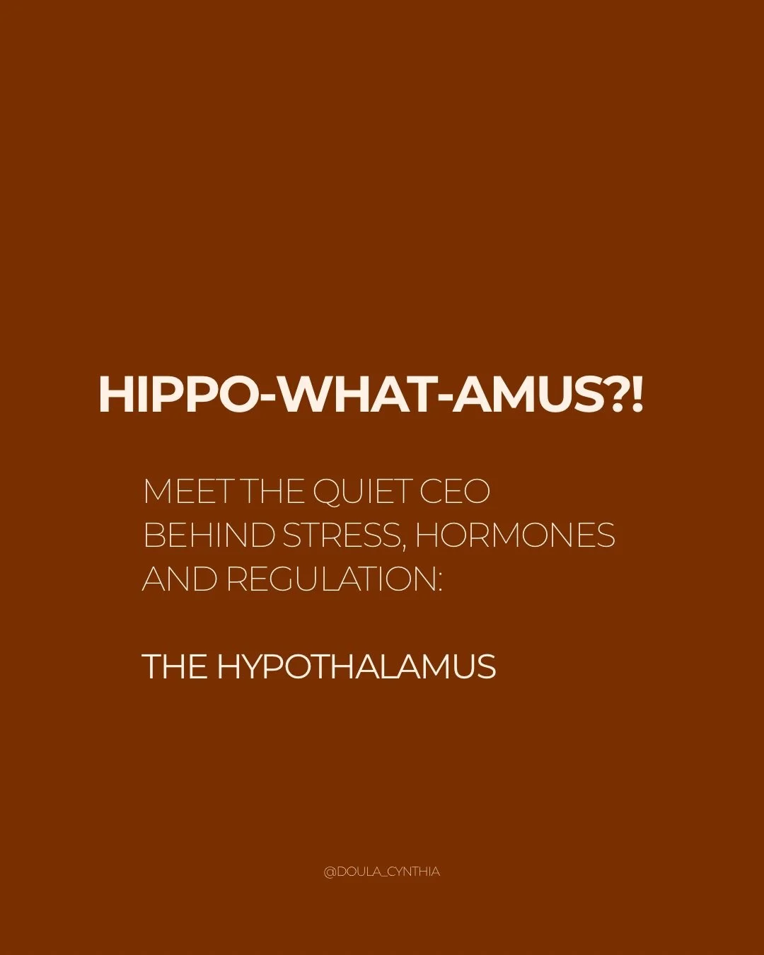 Part 1 - The Hypothalamus

Many women have been told to &ldquo;stress less&rdquo;
without ever learning how their bodies actually respond to stress.

Your hypothalamus plays a central role in this.
It&rsquo;s constantly receiving signals from your ne