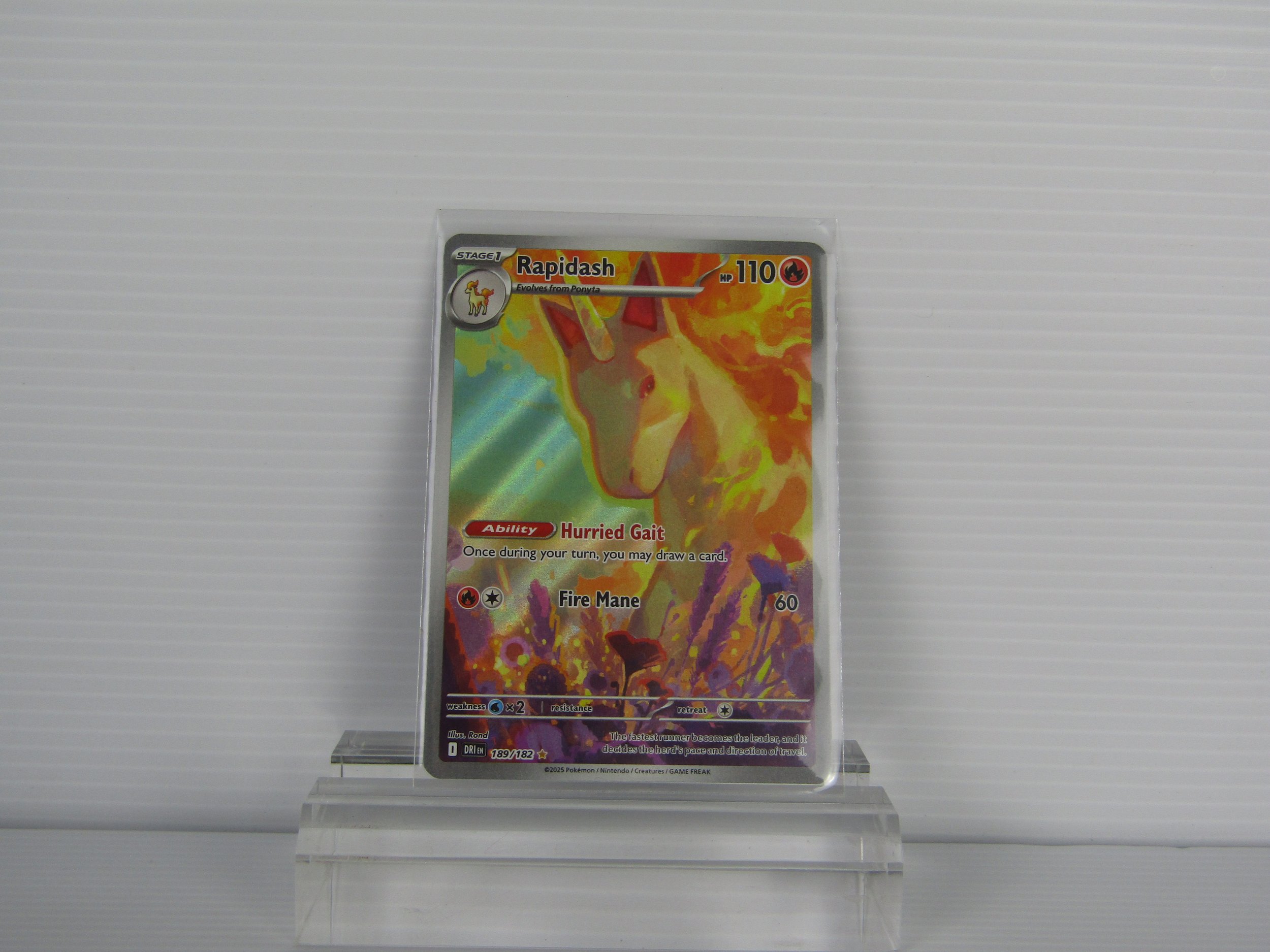 2025 Pokémon Rapidash Illustration Rare Card ( Mint )