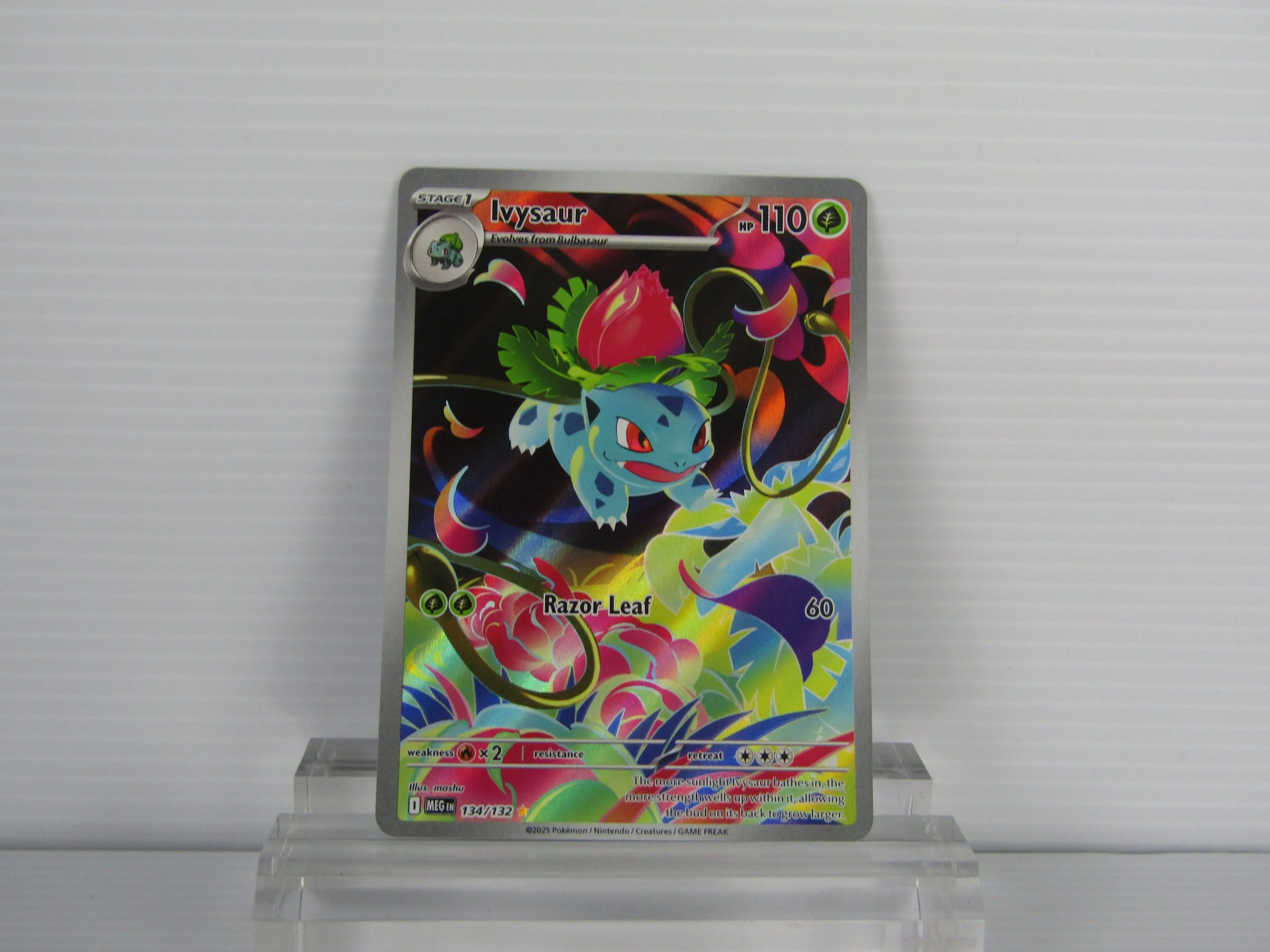 Pokemon TCG - Ivysaur Mega Evolution - Illustration Rare ( Mint )